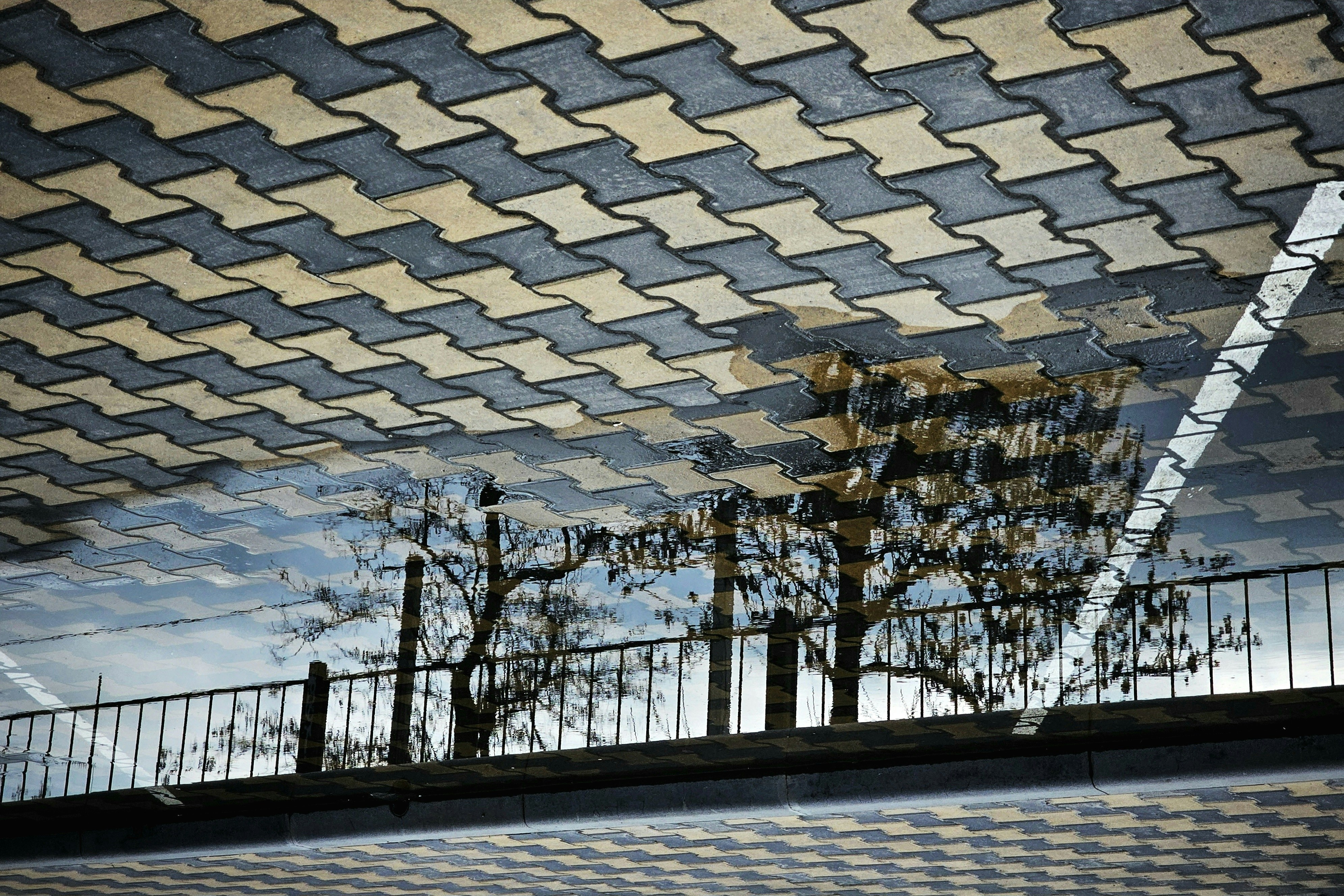 Reflection of trees and fence in a puddle on pavement.