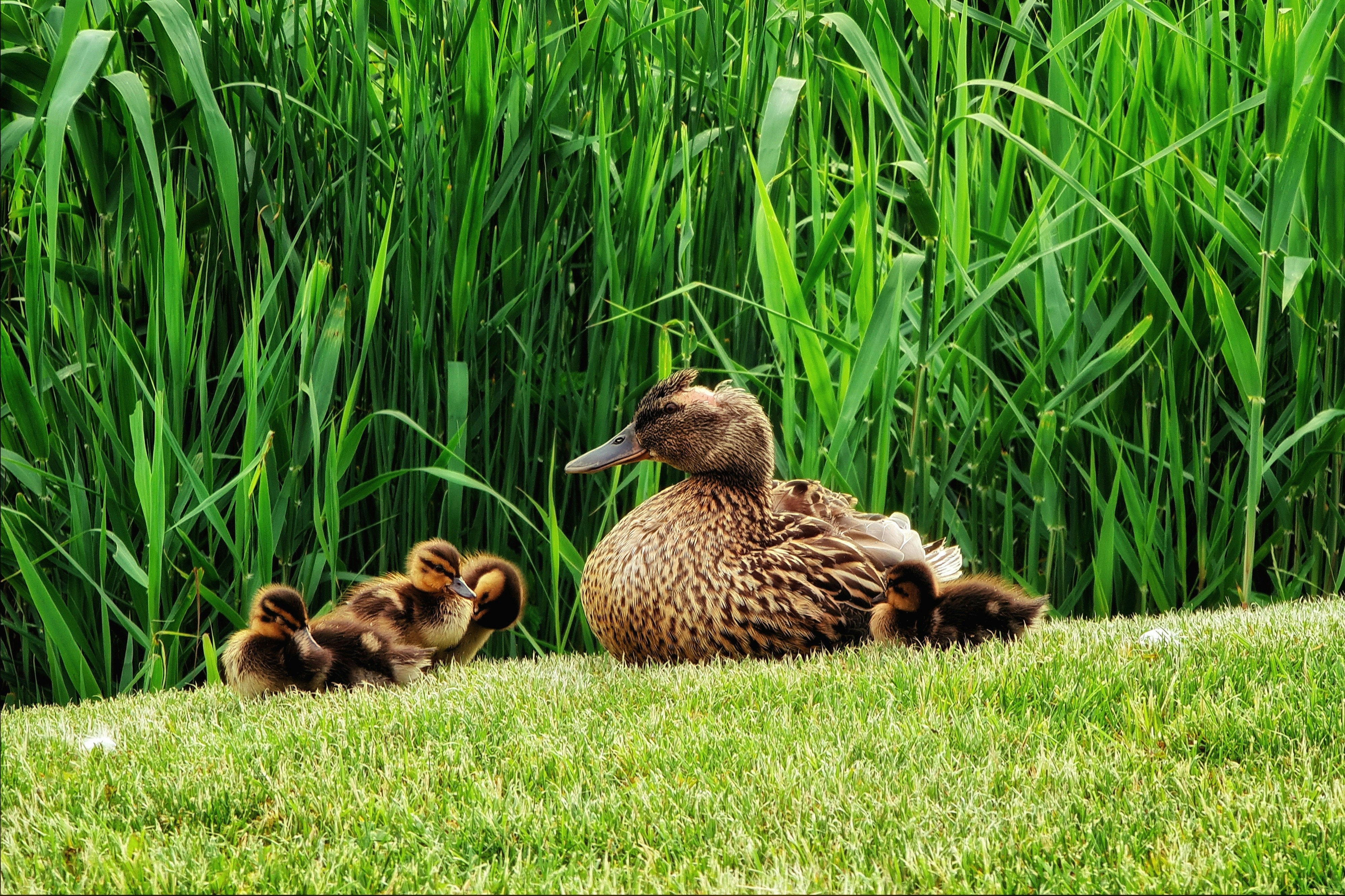 Photo by lvovandrewph