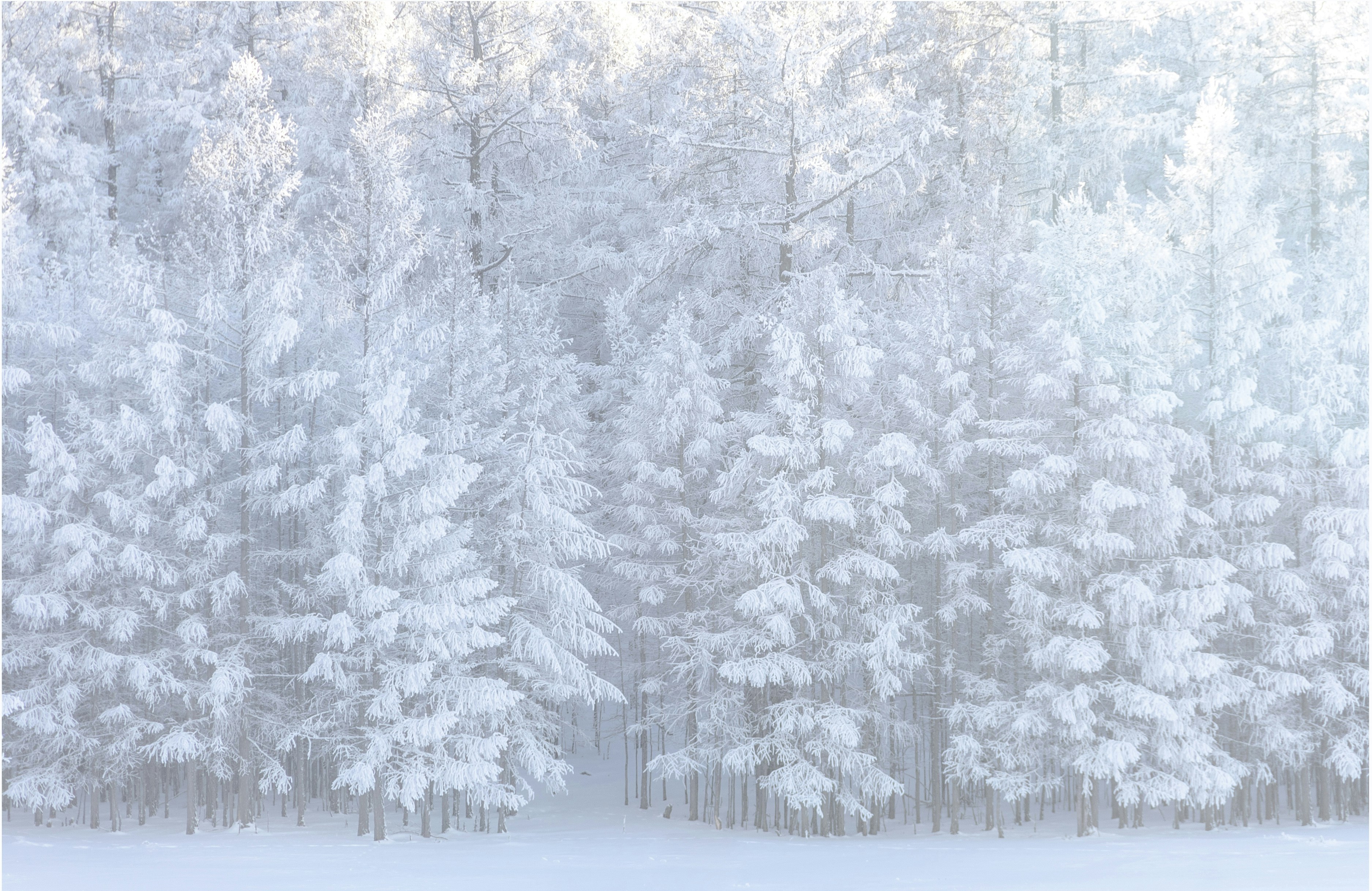 Infographic showing Sisters OR climate impact on heating systems with temperature ranges and seasonal heating demands - heating service company in sisters, or