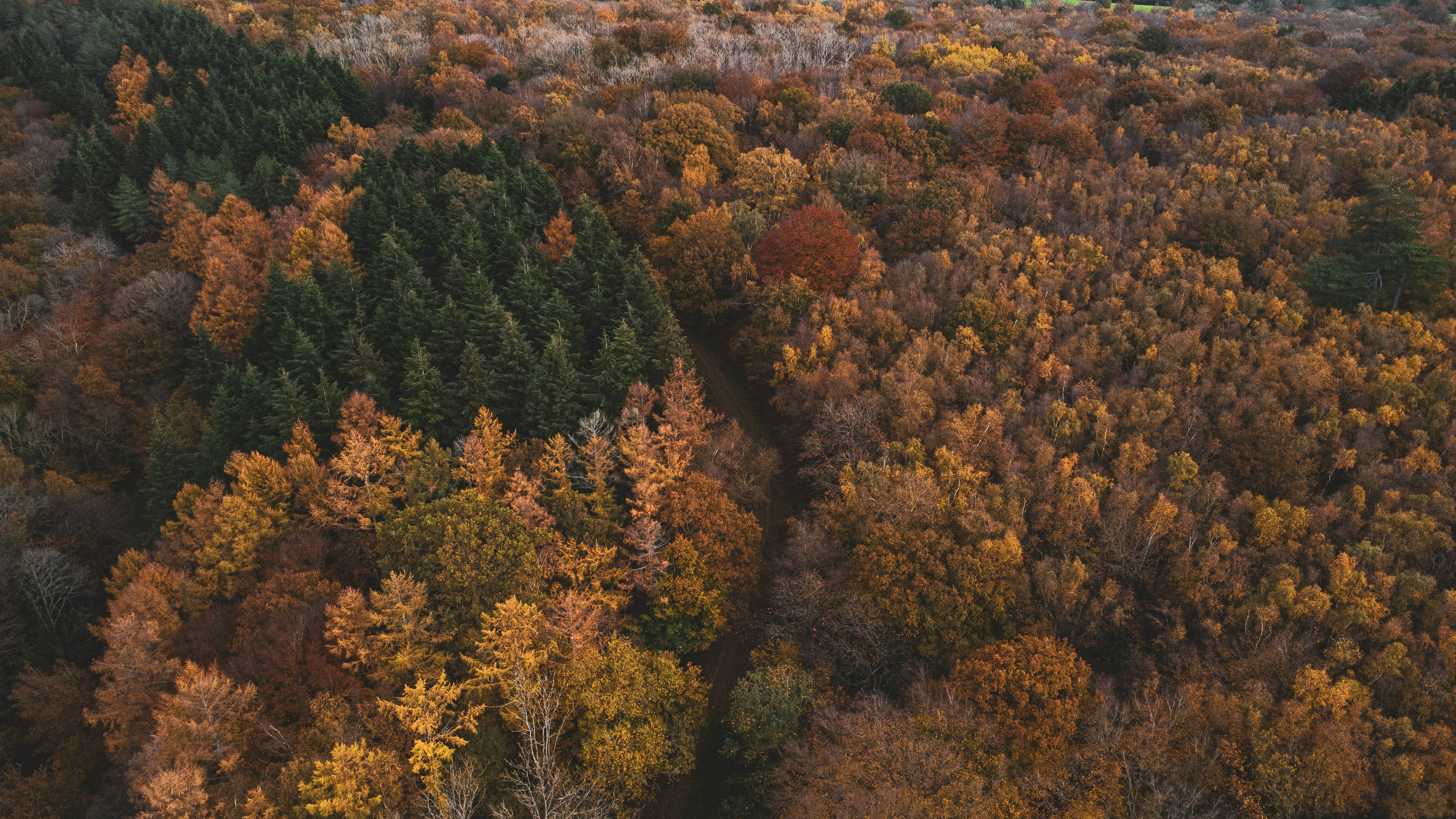 Photo by willcorrigan06