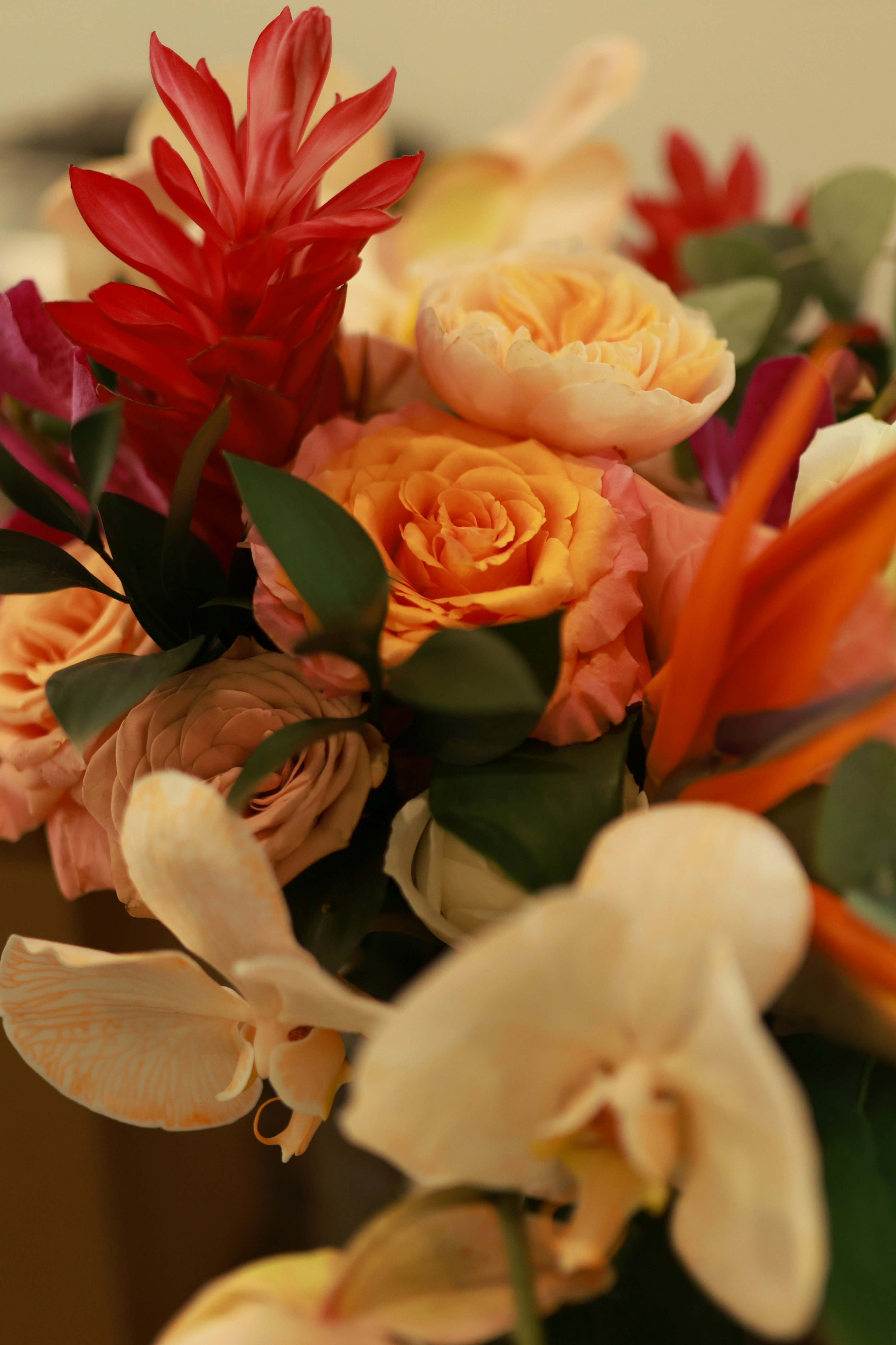 Photo by hoianphotographer