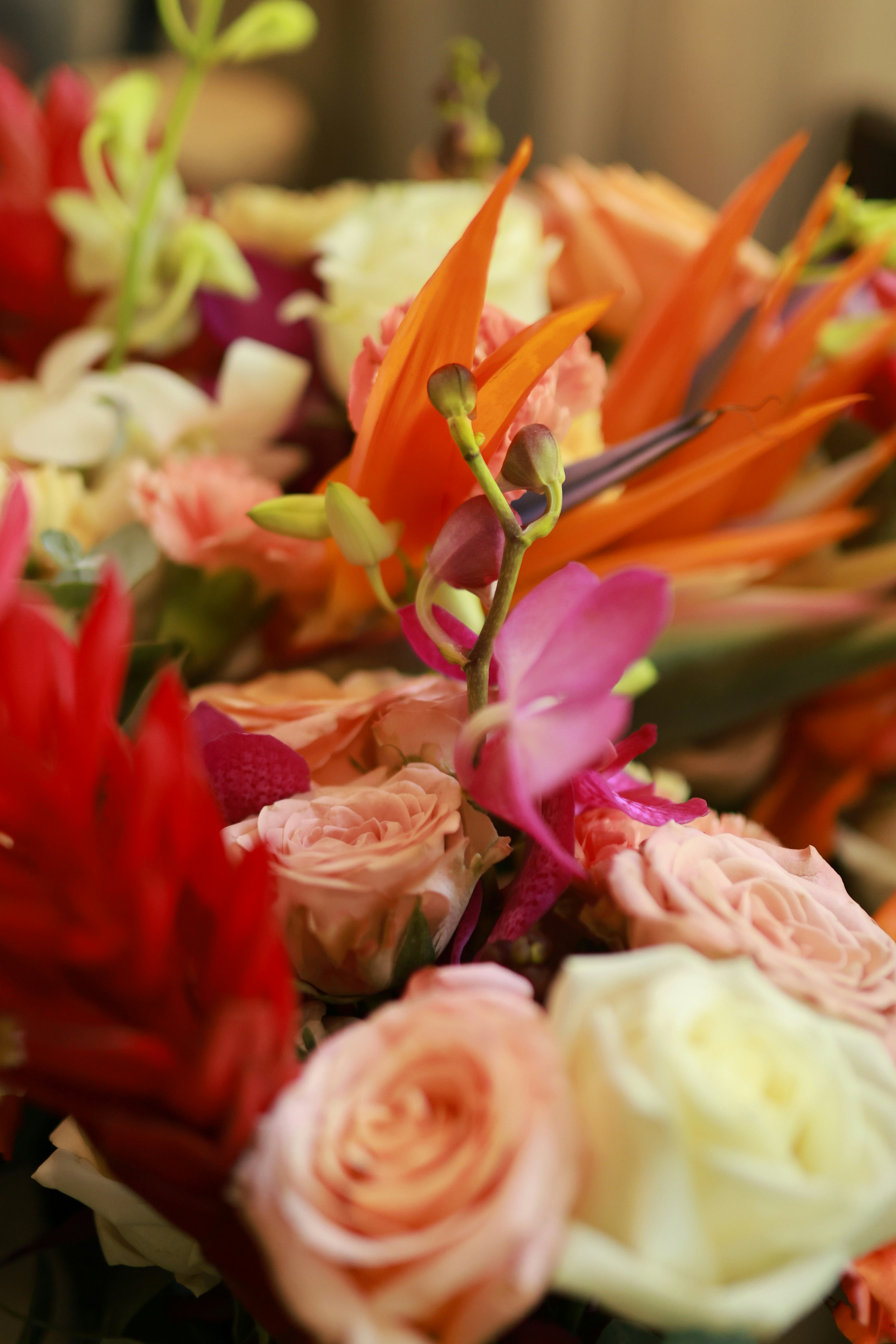 Photo by hoianphotographer