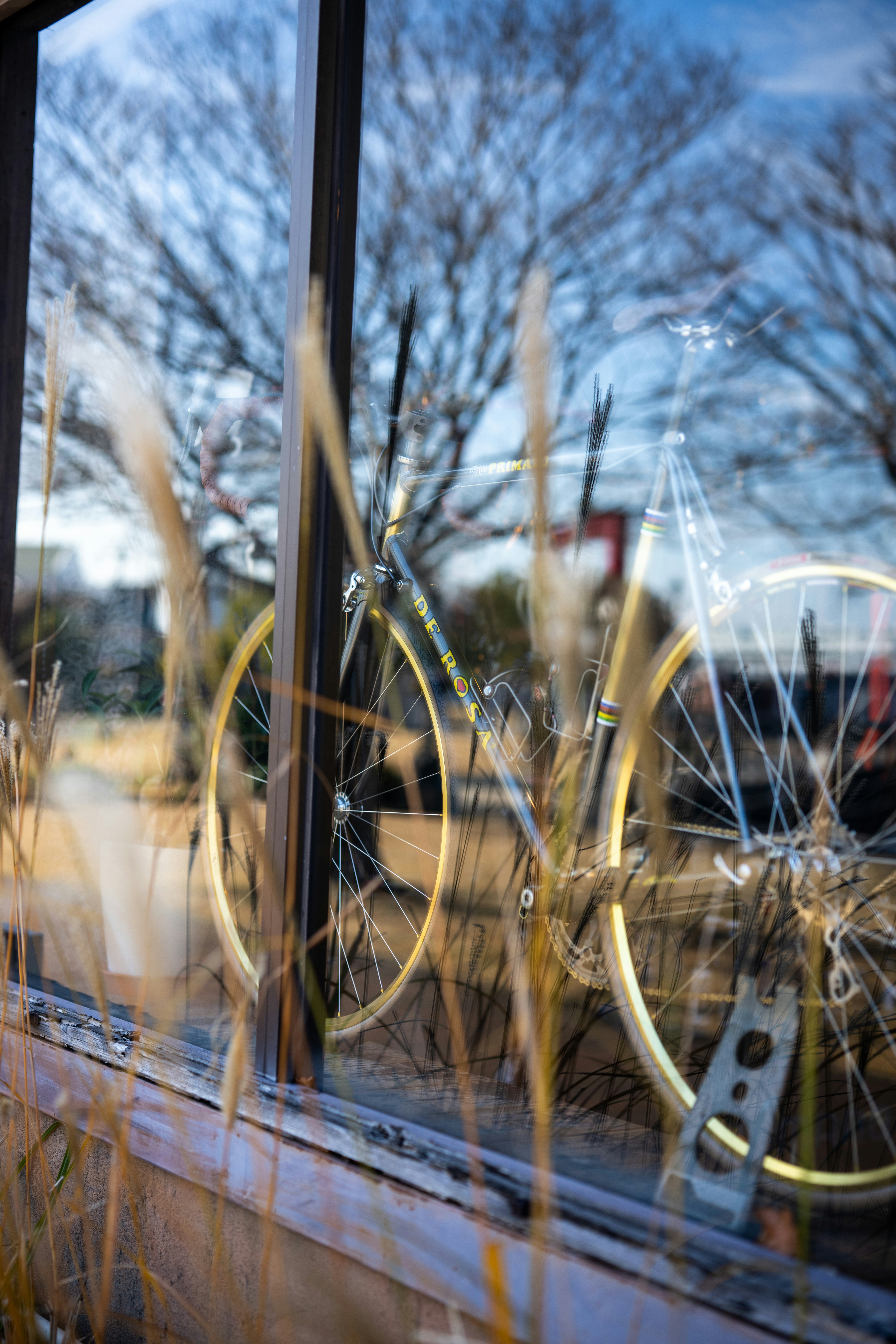 Bicycle reflected in a window with bare trees outside trees