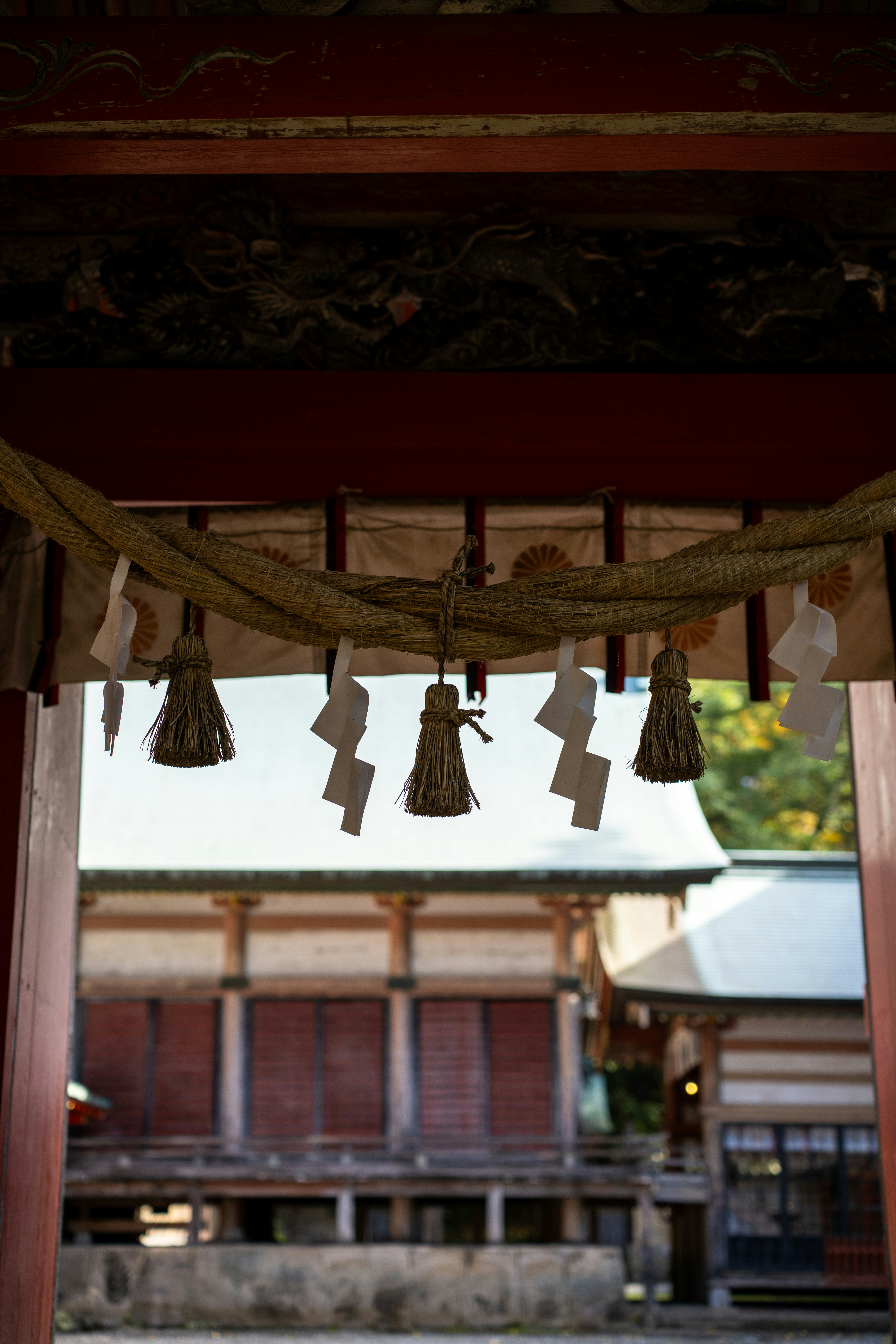 Photo by pafuxu