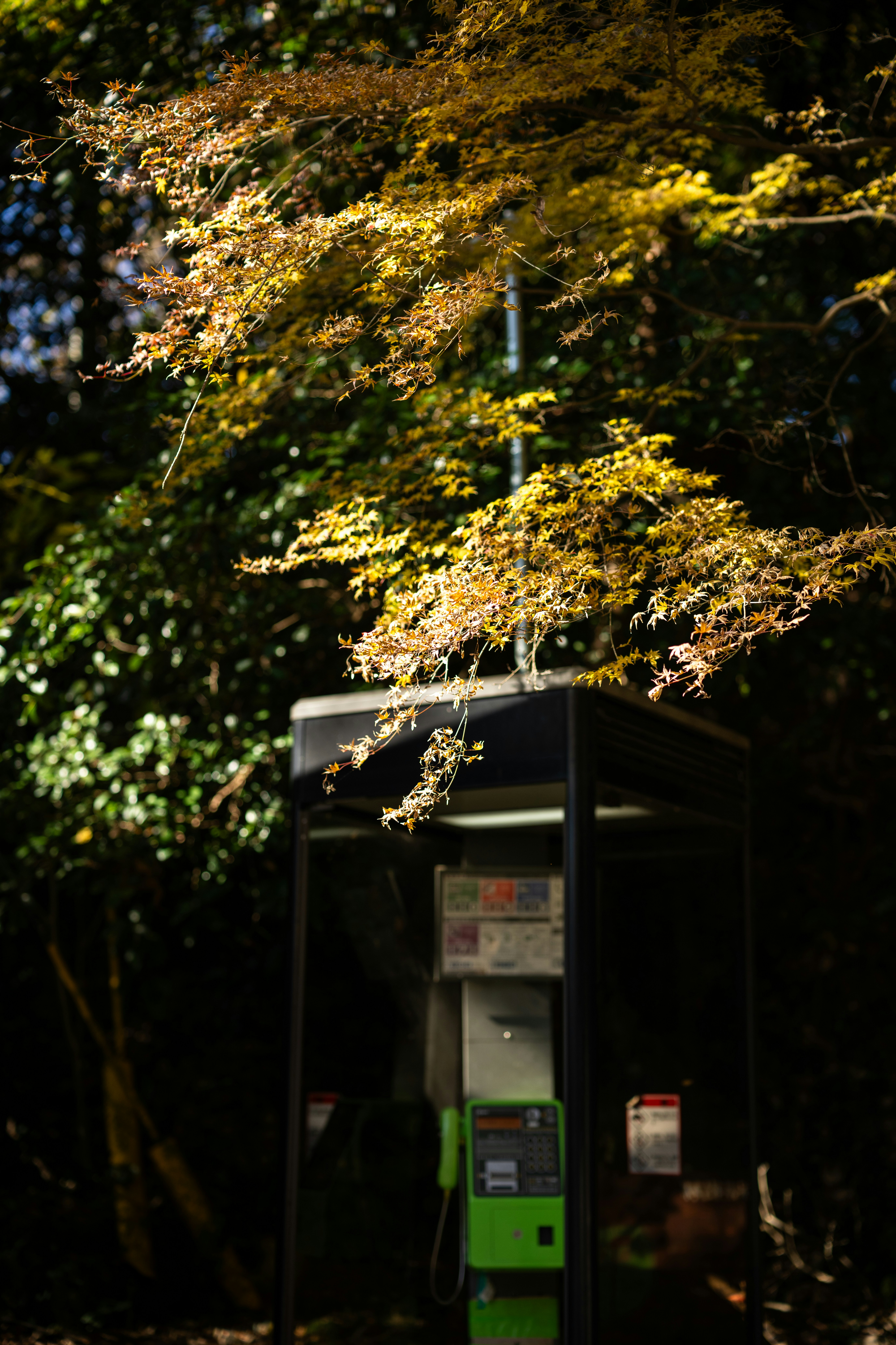 vintage tech wallpaper, wallpaper, First Android Phone: When Was the First Android Released? 3