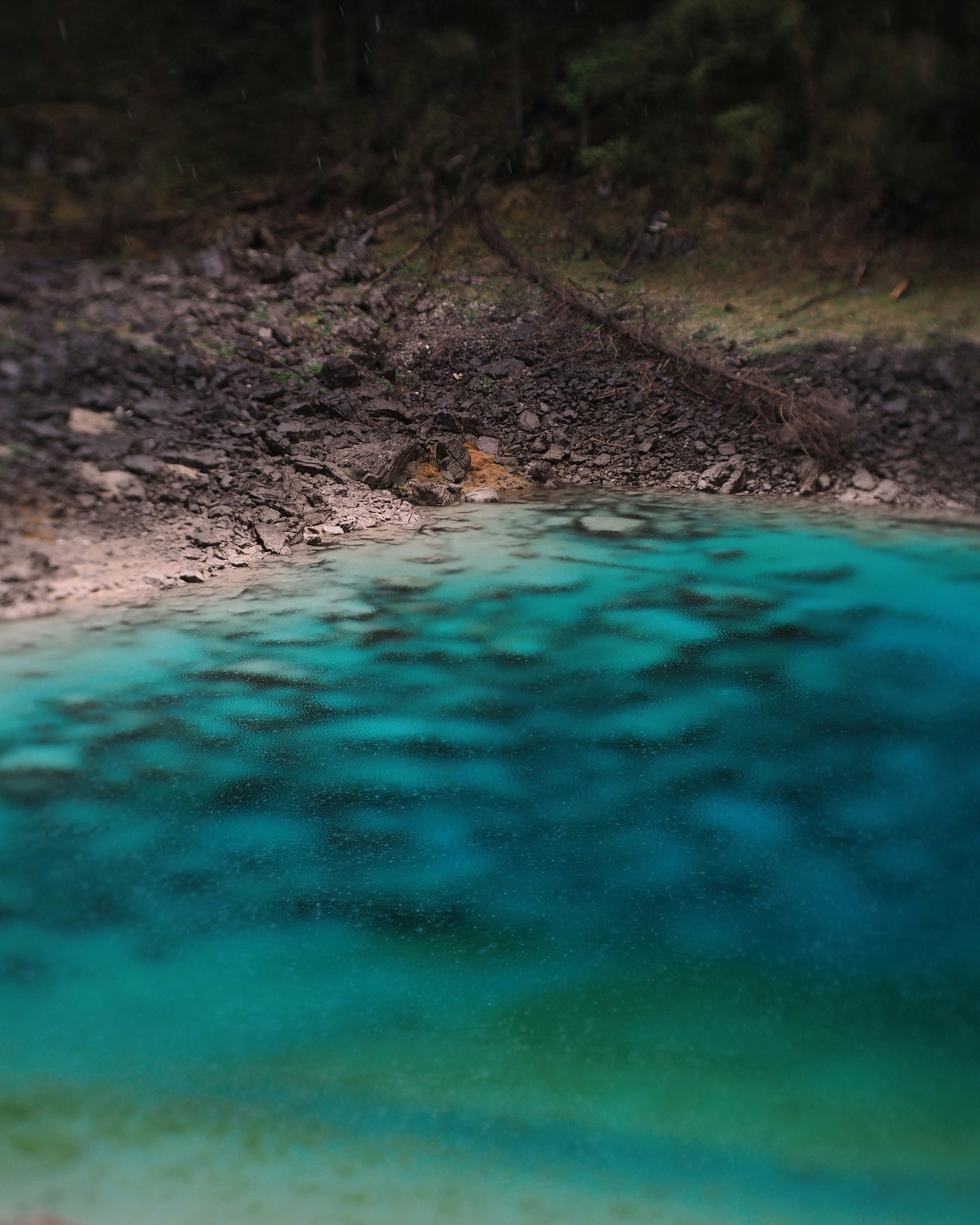 Clear turquoise water meets rocky shore with trees.