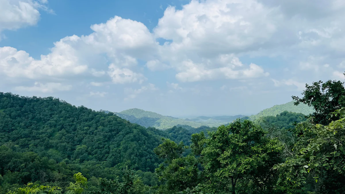 Shirui Kashong NP