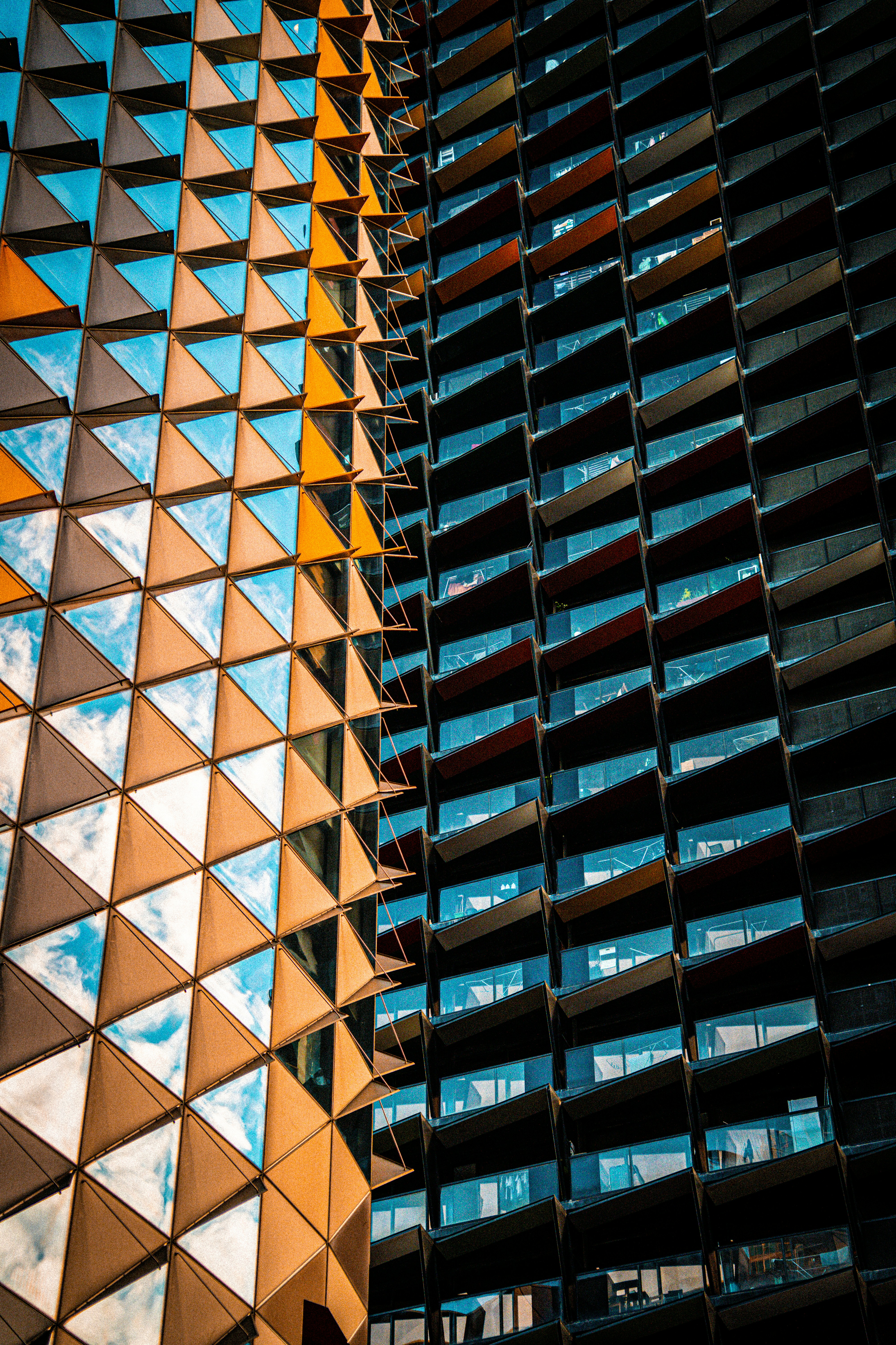 Photo by niko_nguyen_10