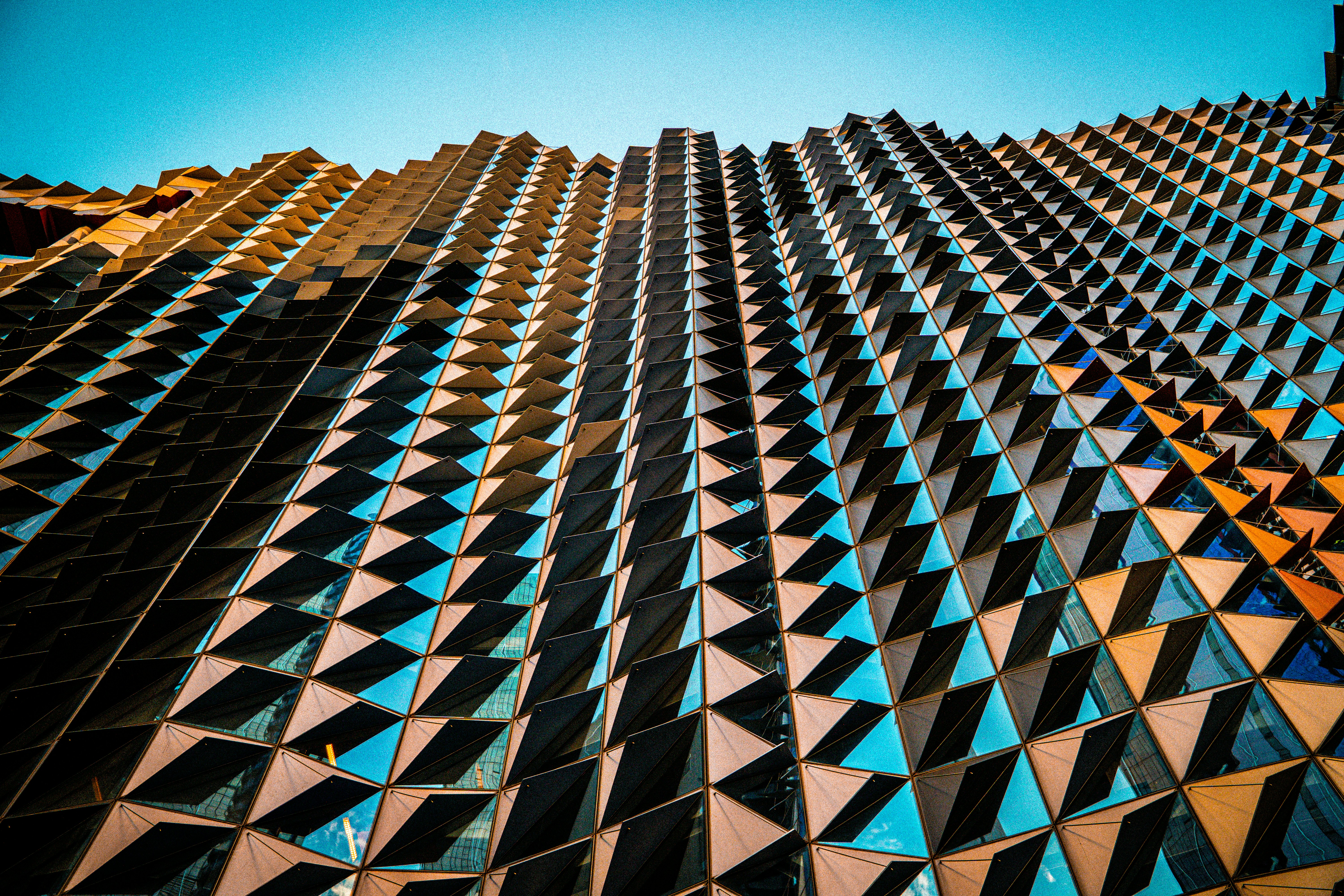 Photo by niko_nguyen_10