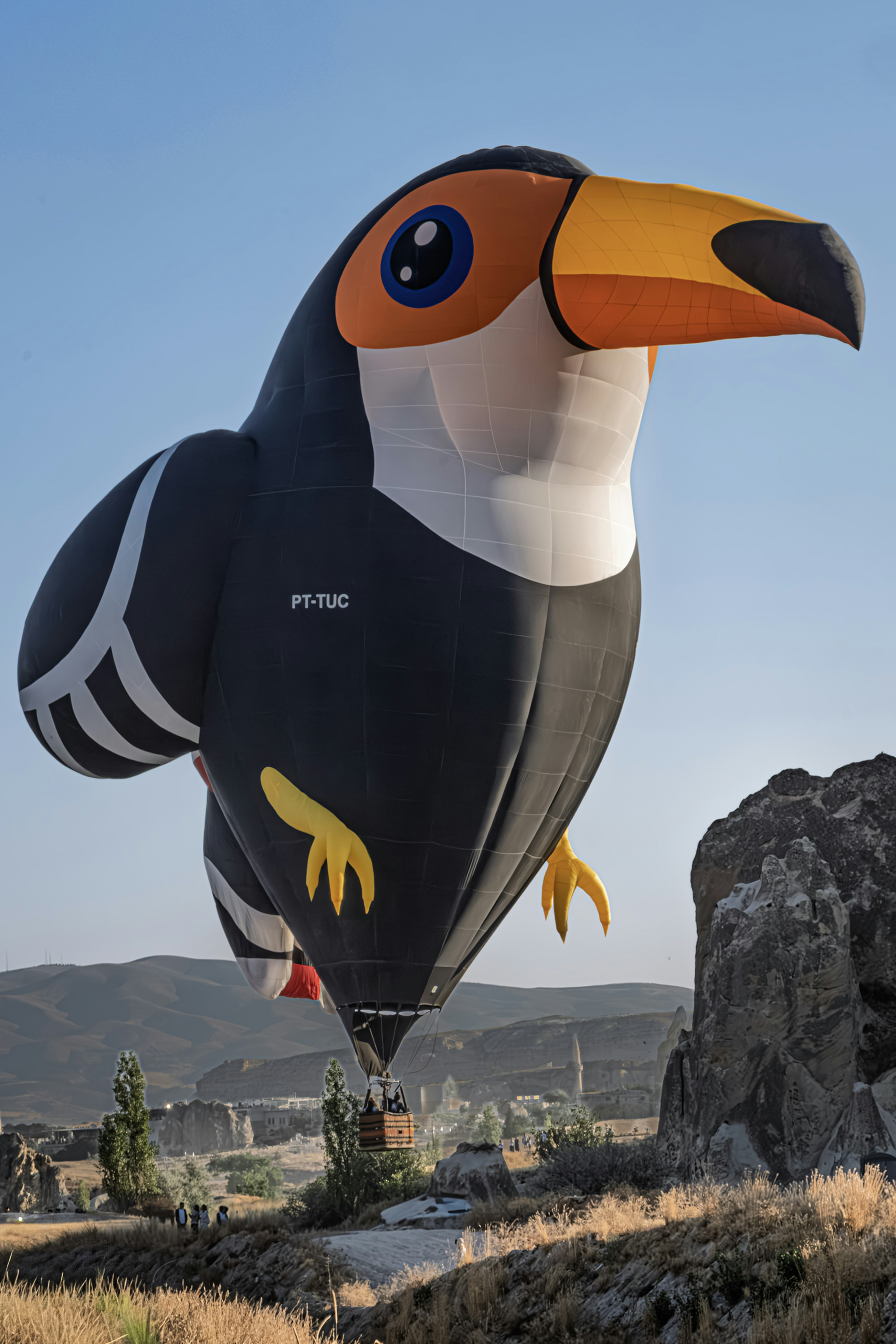 Hot air balloon shaped like a toucan flying over landscape