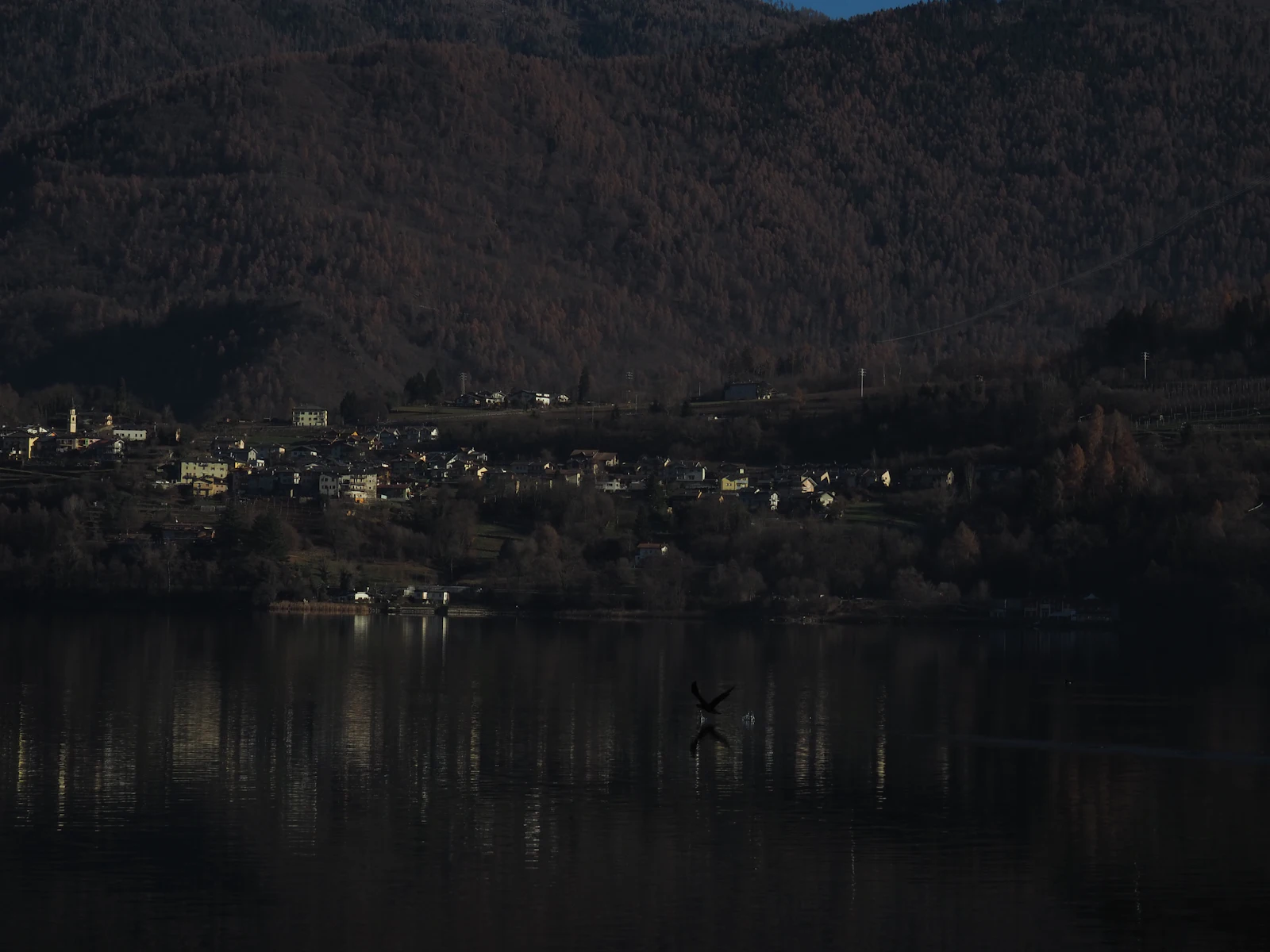 Business Security in Penticton and the South Okanagan