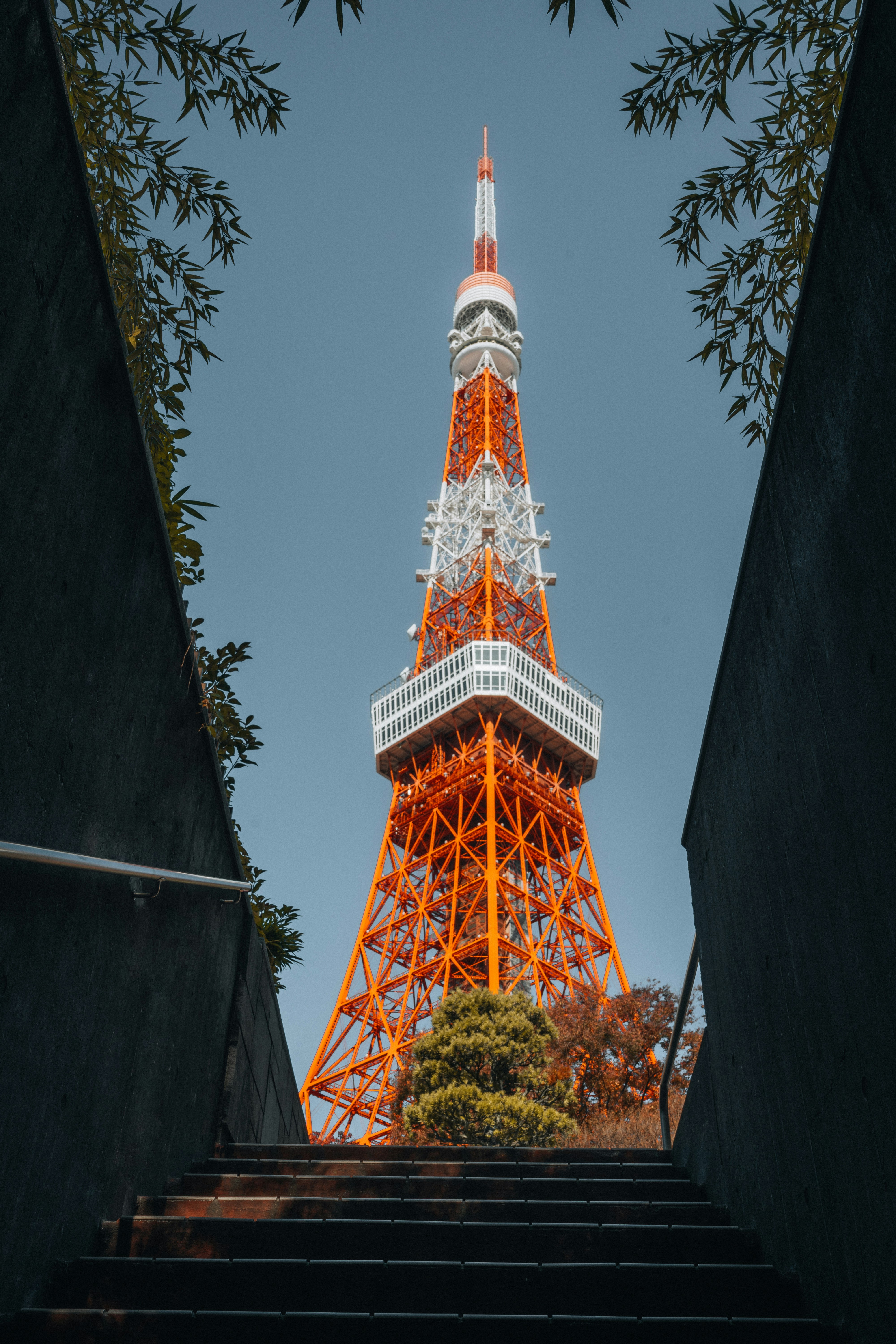 Tokyo tower viewed from below through trees.