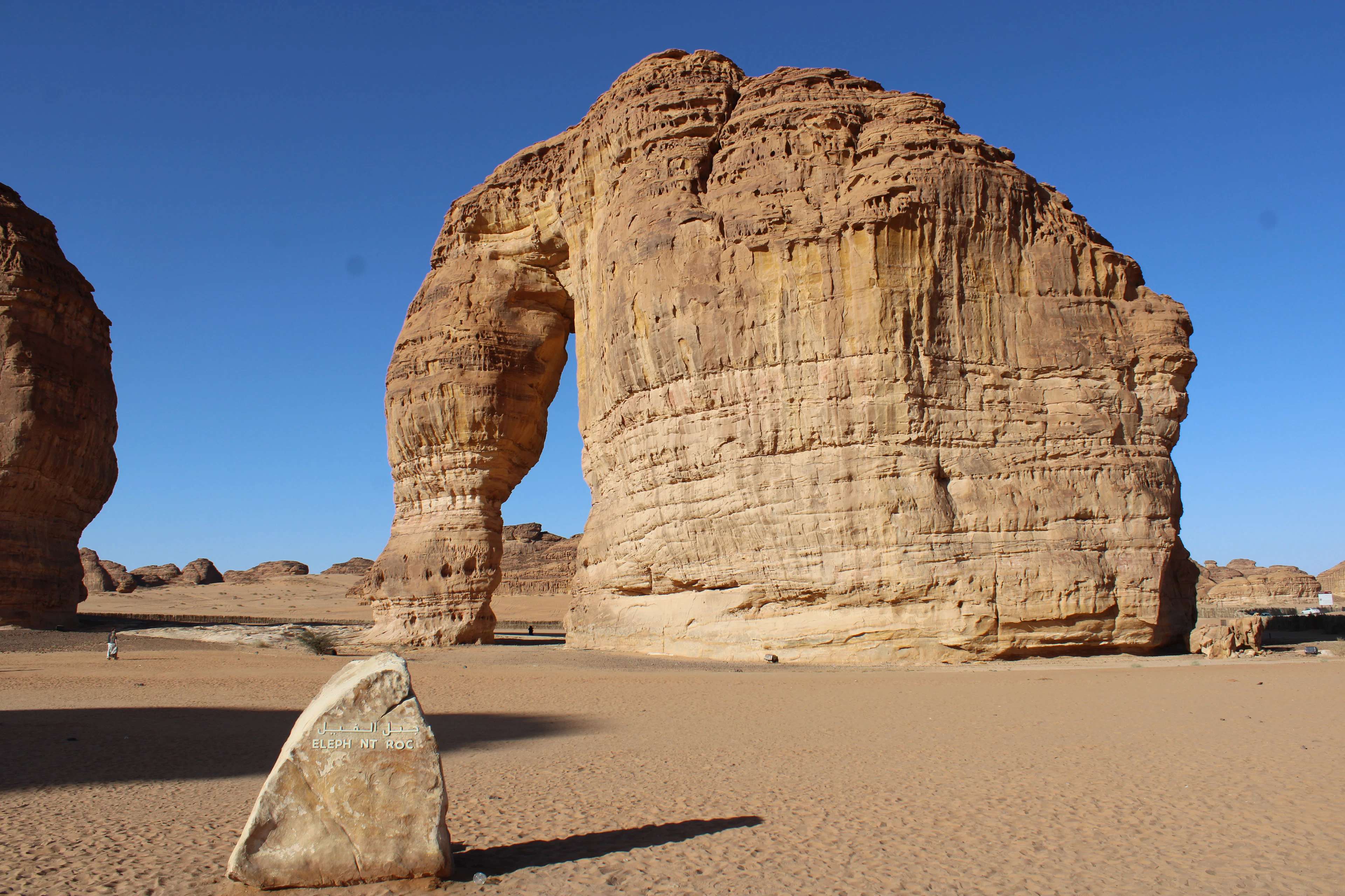 Elephant Rock's sandstone arch and trunk-like base rising from the desert floor under a clear midday sky.