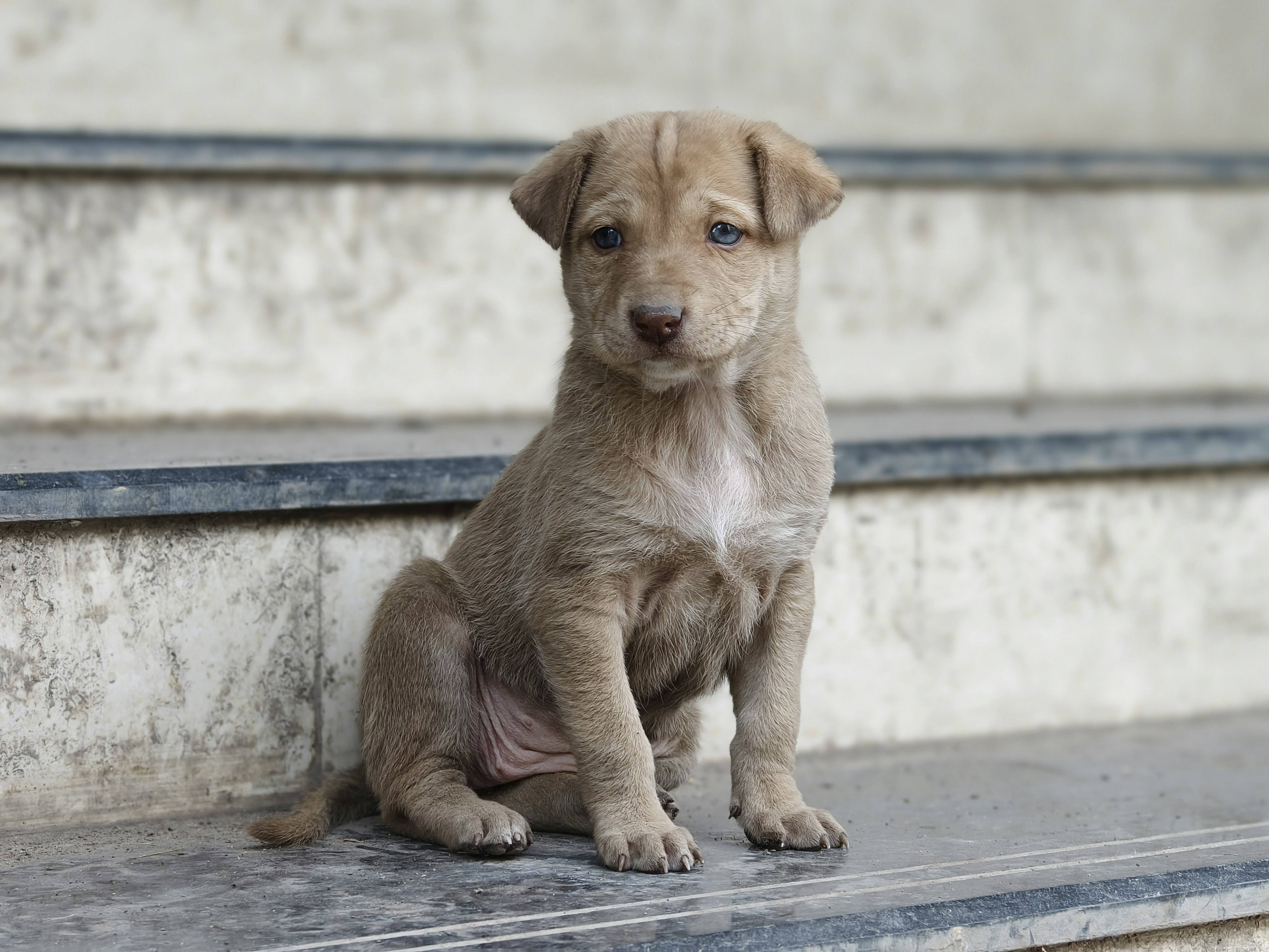 Photo by merajmirzabaig