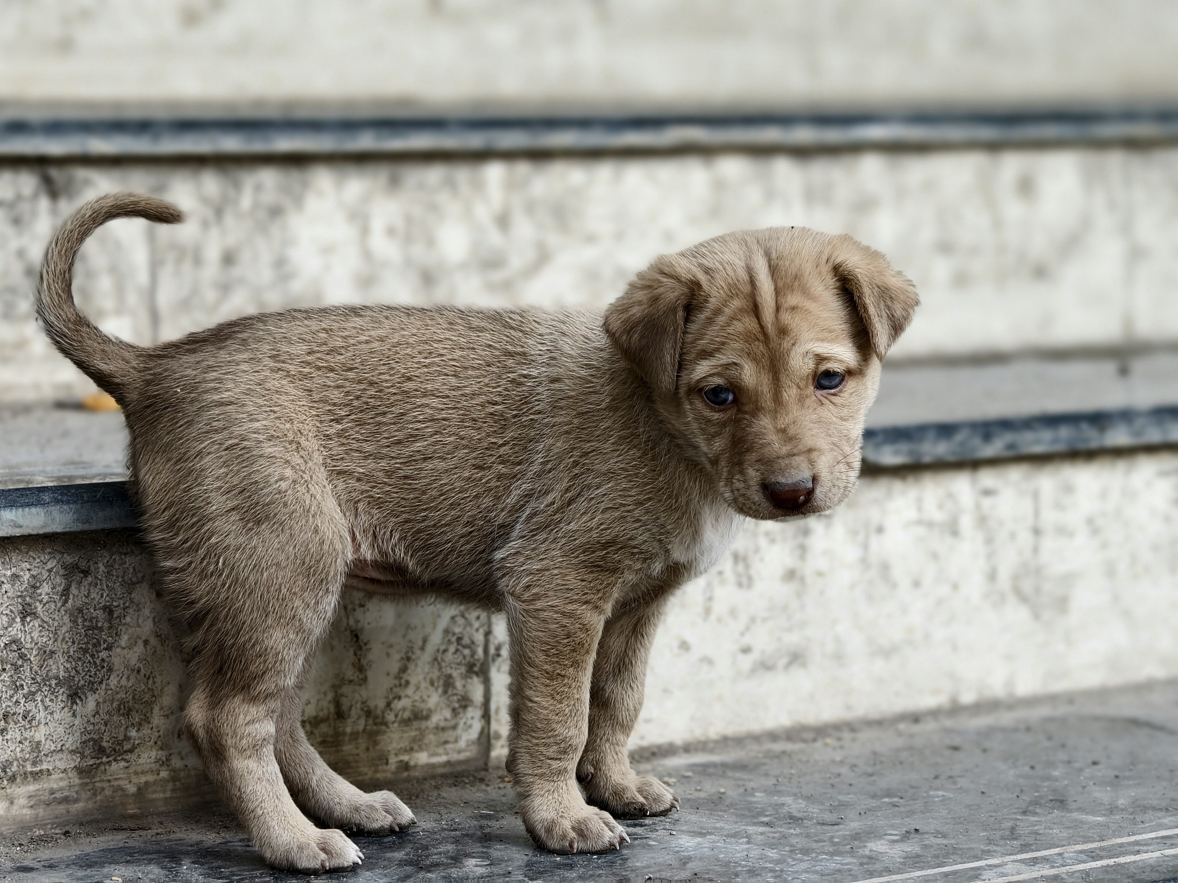 Photo by merajmirzabaig