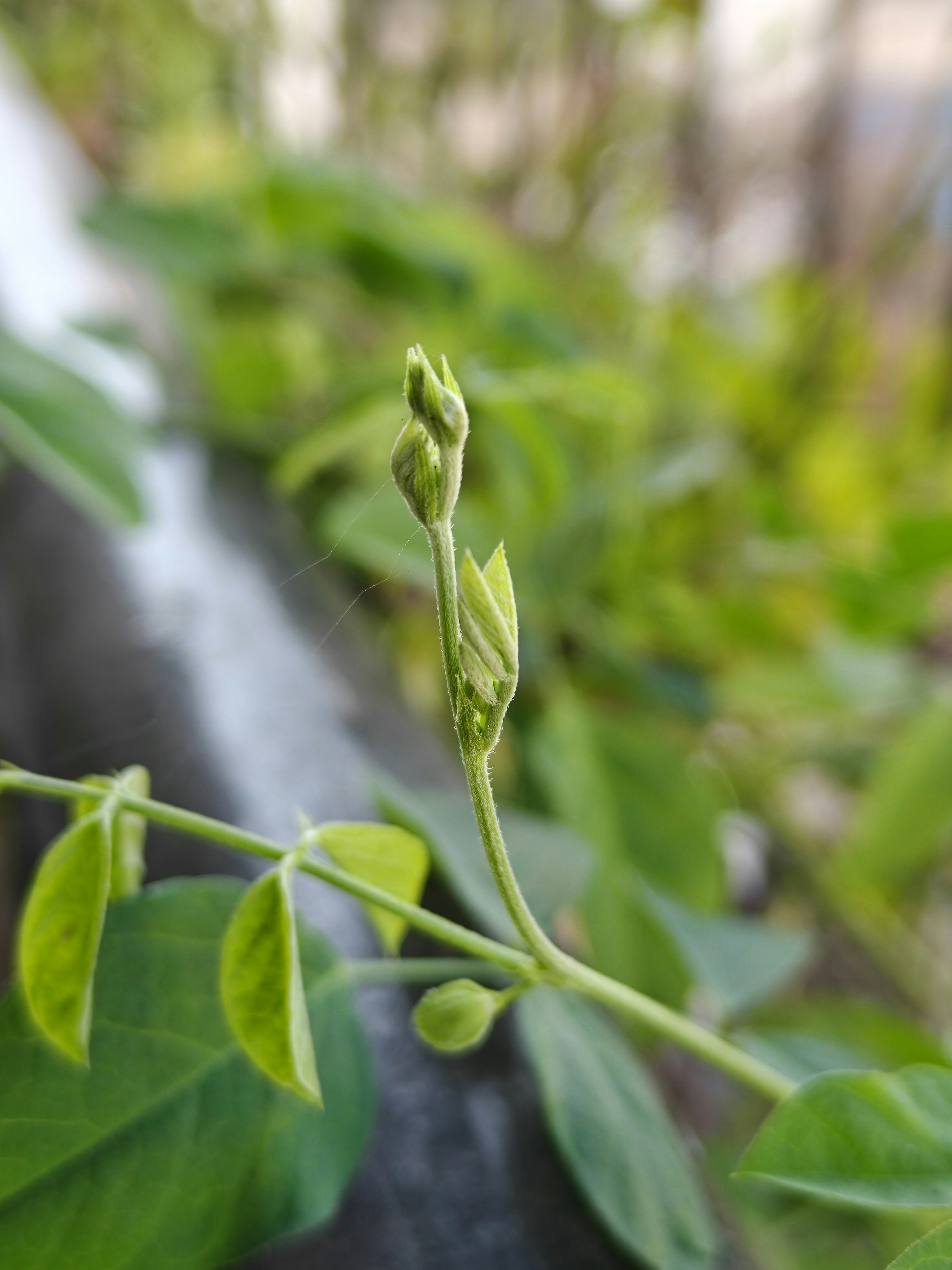 Photo by pranav_ijantkar04