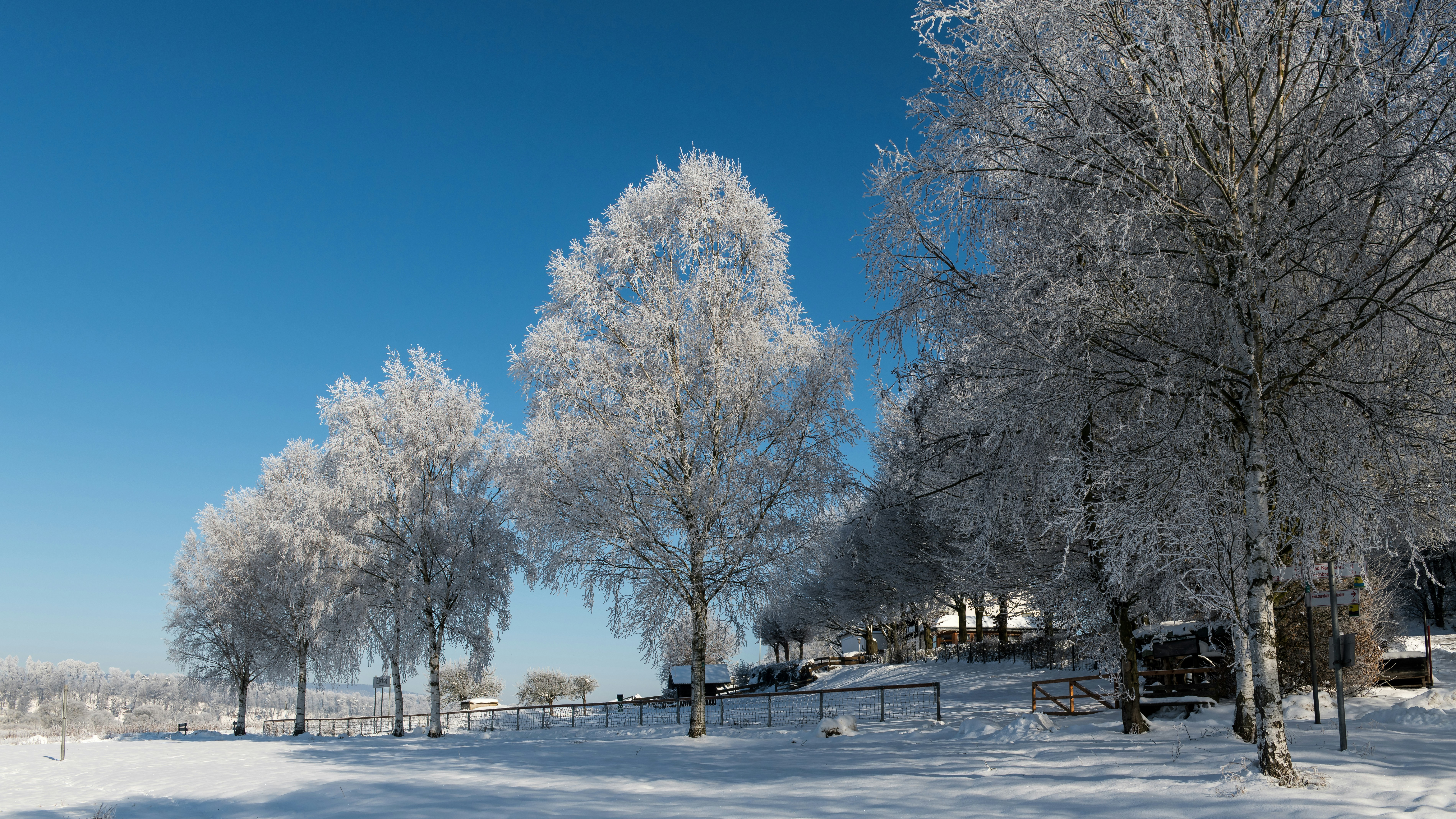 Photo by hamburgmeinefreundin