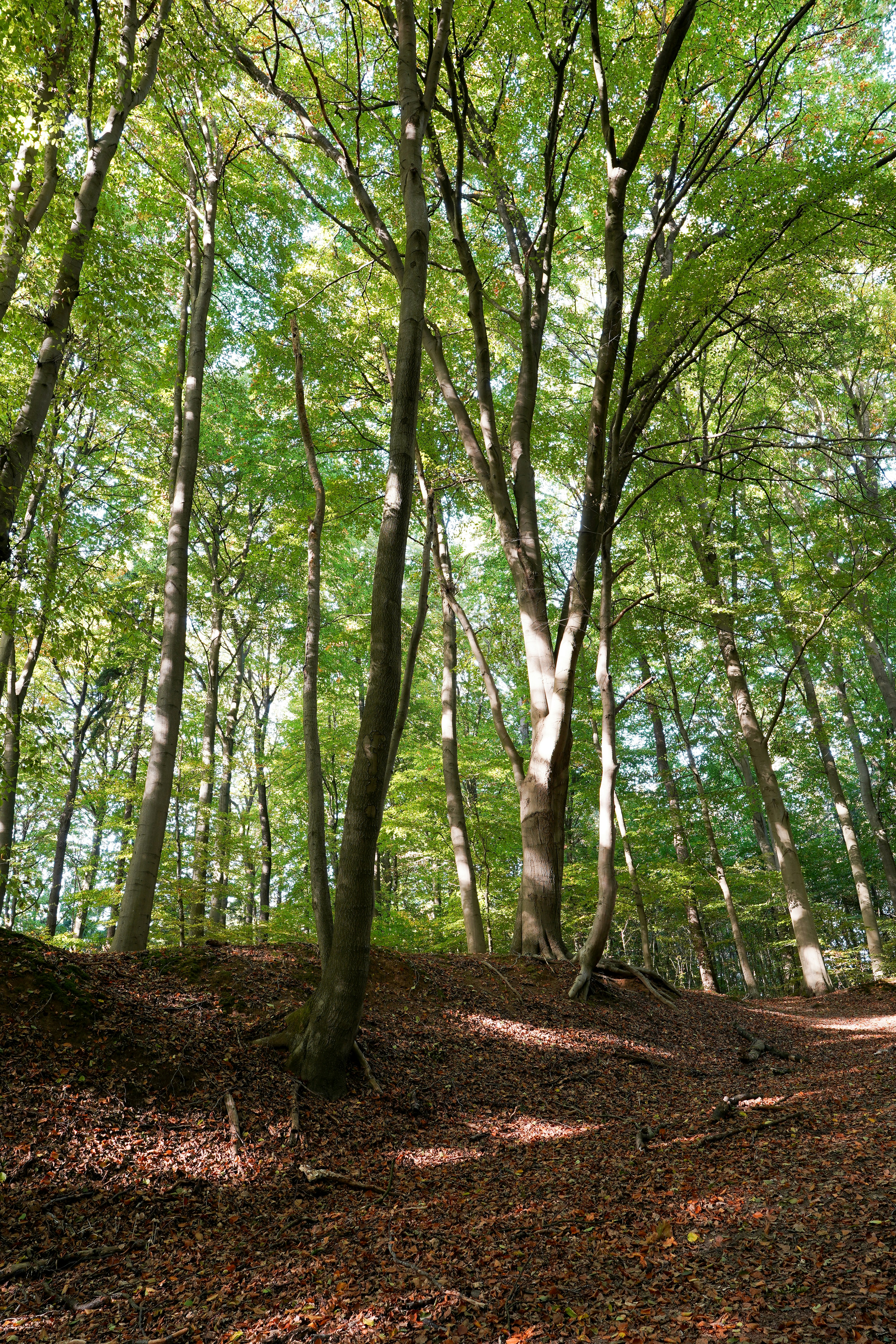 Photo by hamburgmeinefreundin