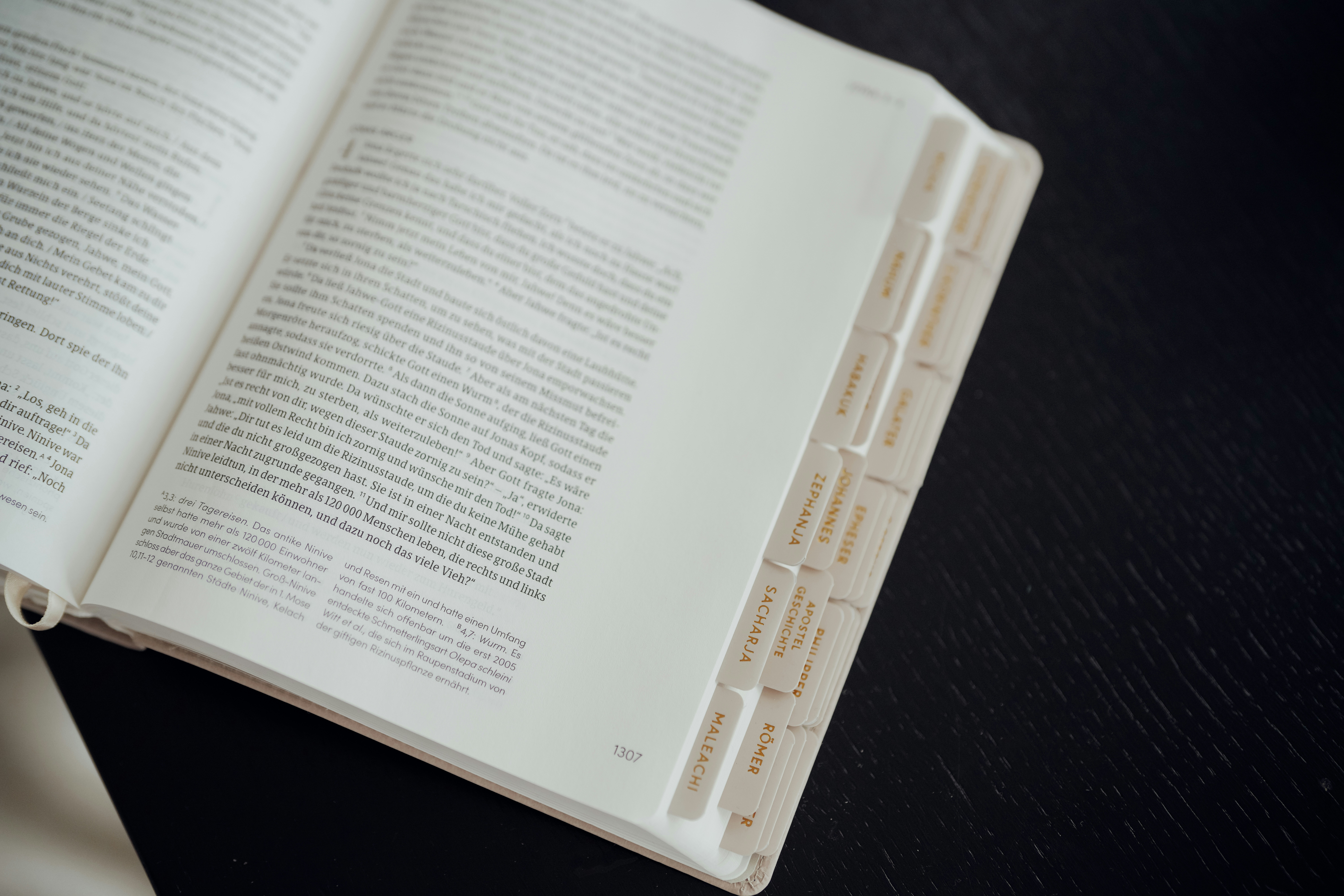 An open book with many labeled tabs.