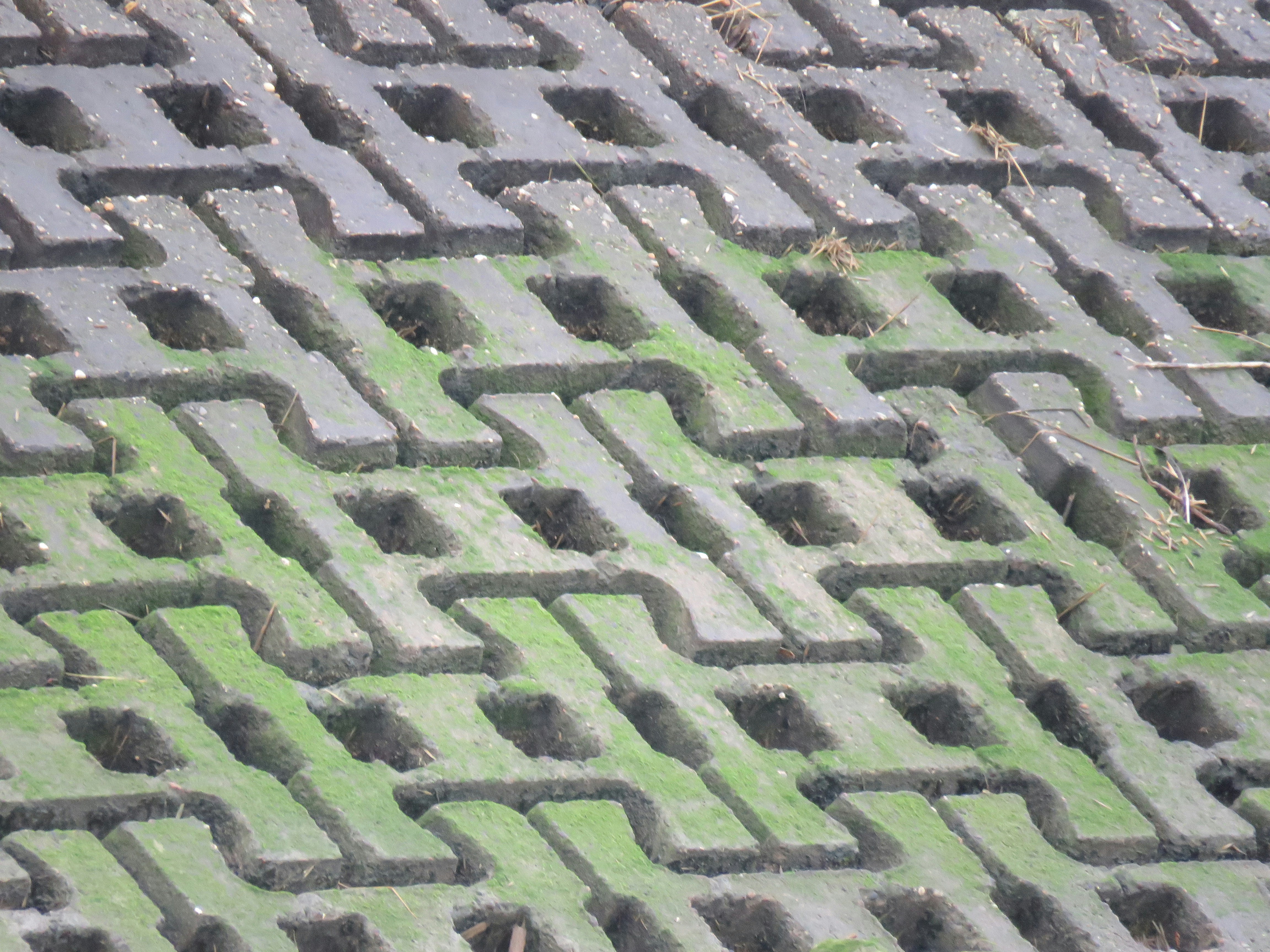 Concrete grid pavers with lush green grass infill in a residential driveway - driveway bricks with holes for grass