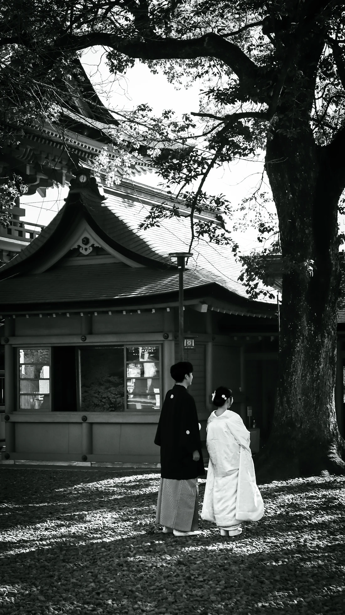 A couple in wedding kimono at a shrine, in black and white