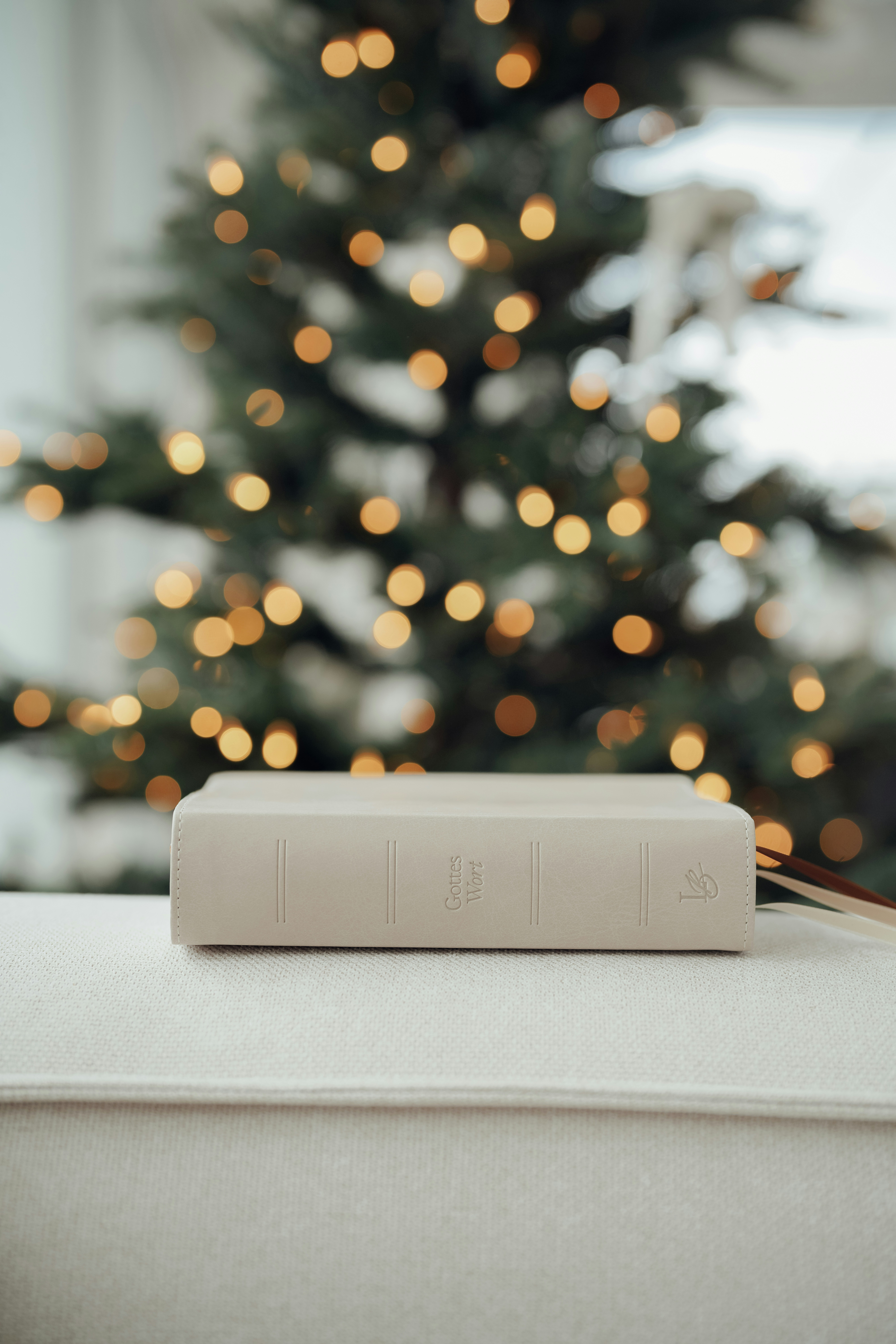 A closed book rests on a couch with christmas lights.