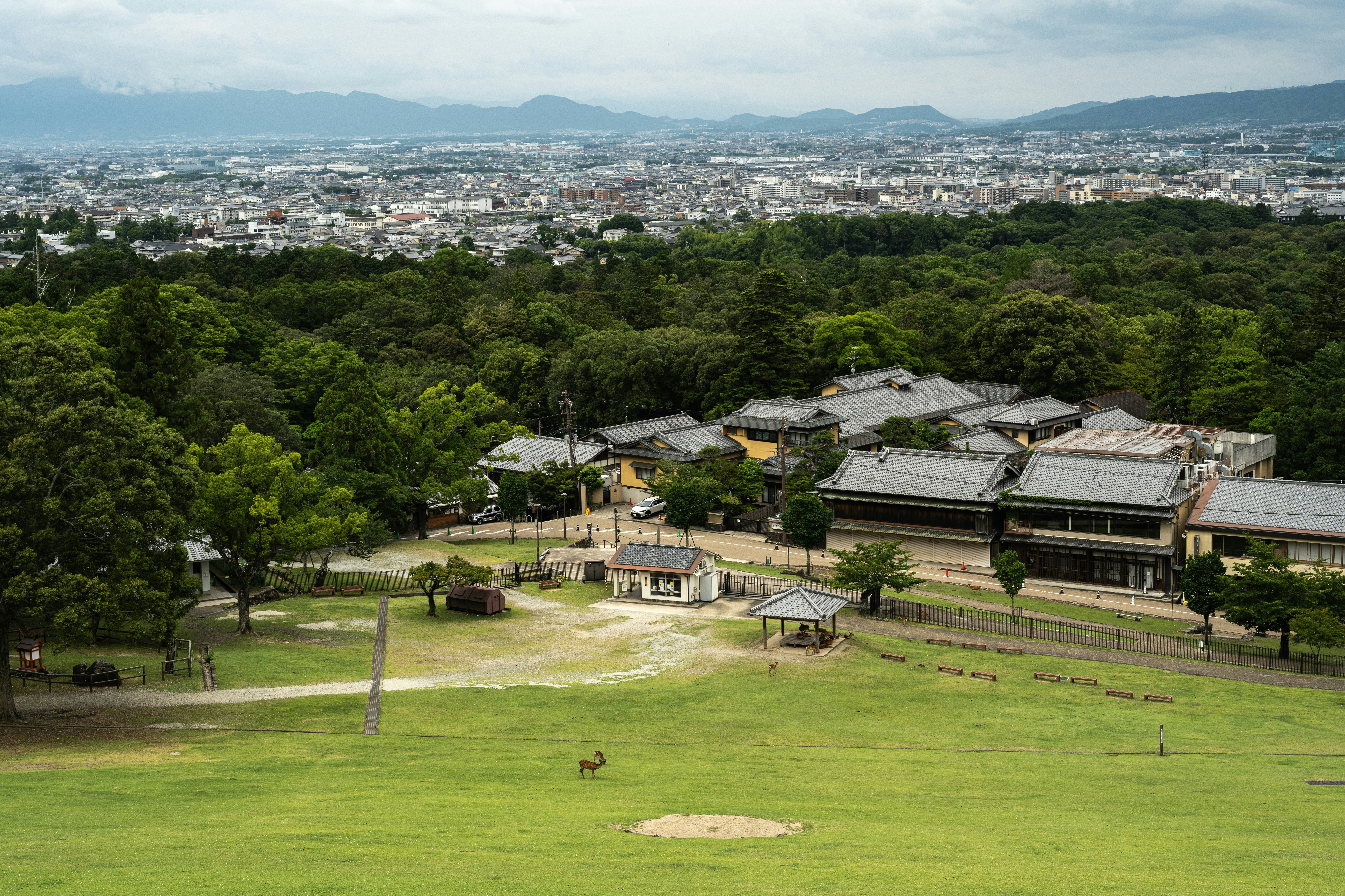 Green park with traditional buildings and city skyline.