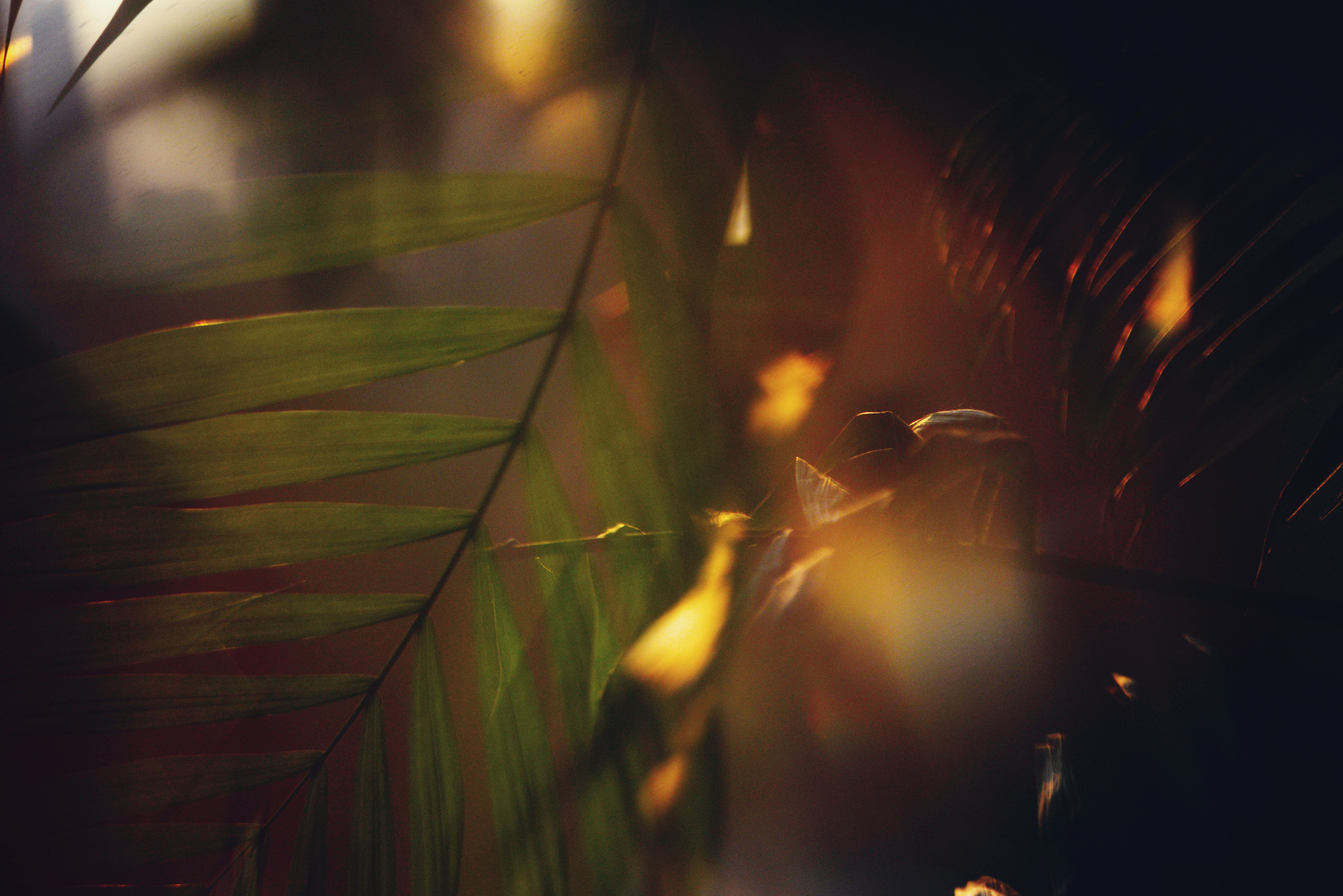 Photo by cherstve_pechivo