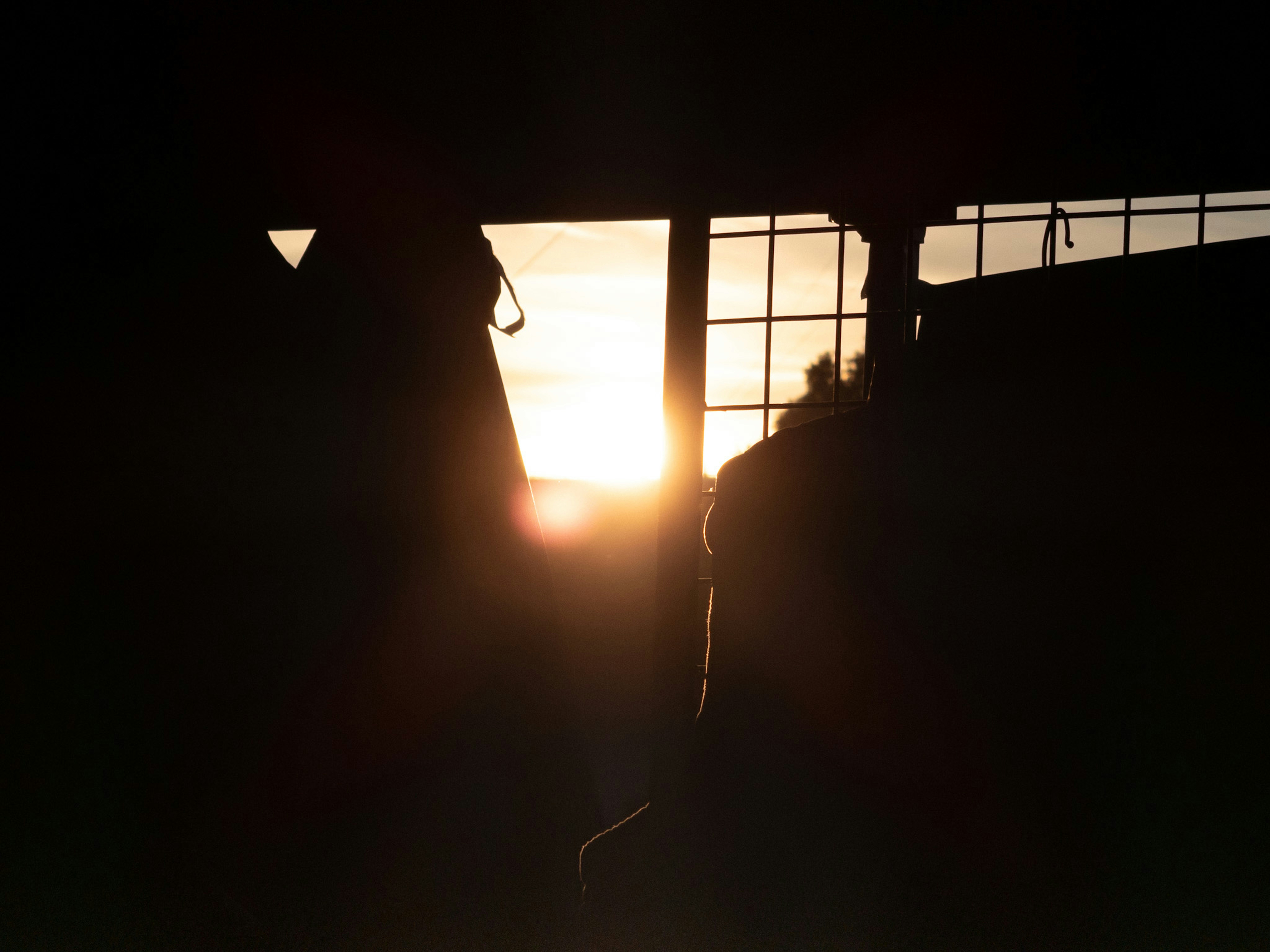 Photo by solomon_6969