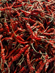 A large pile of dried red chili peppers