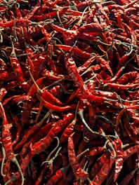 A large pile of dried red chili peppers