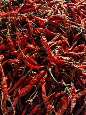 A large pile of dried red chili peppers