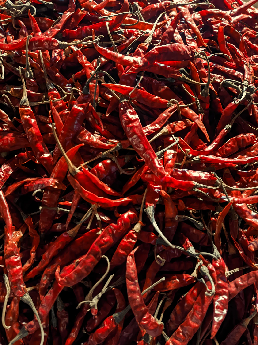 Export-grade dried Guntur red chilli