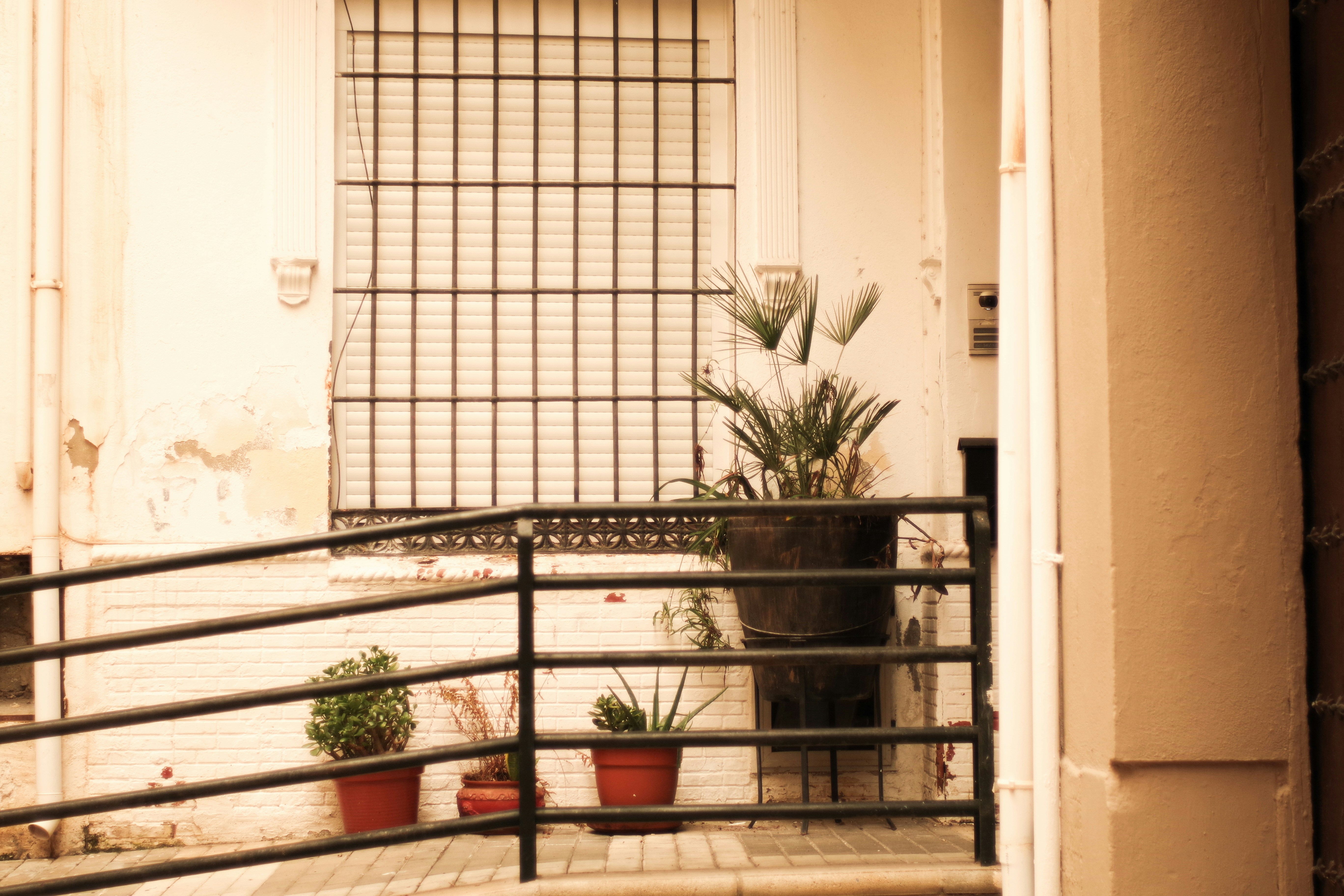 Potted plants near a window with metal grate.