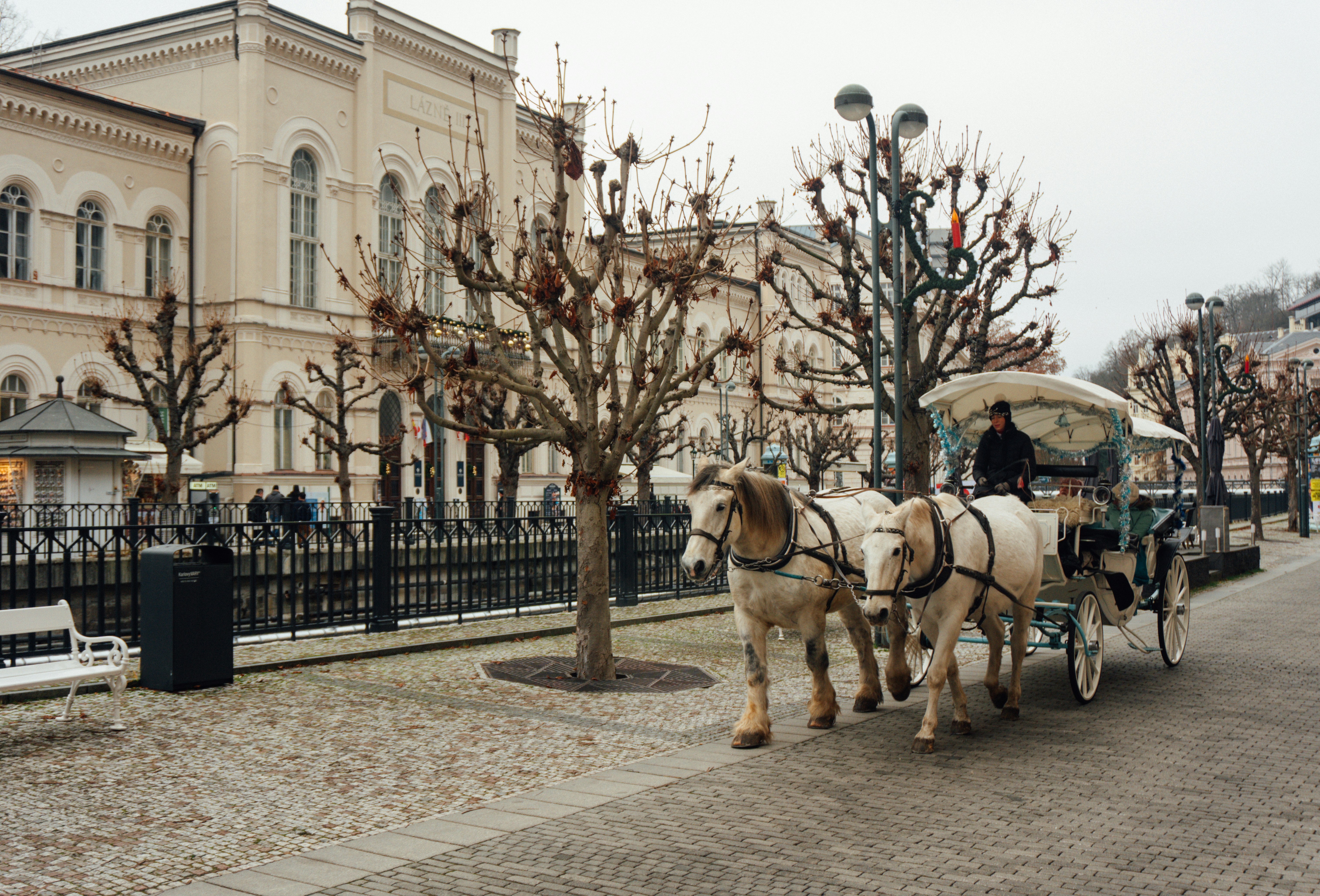 Carruaje tirado por caballos en una calle de la ciudad