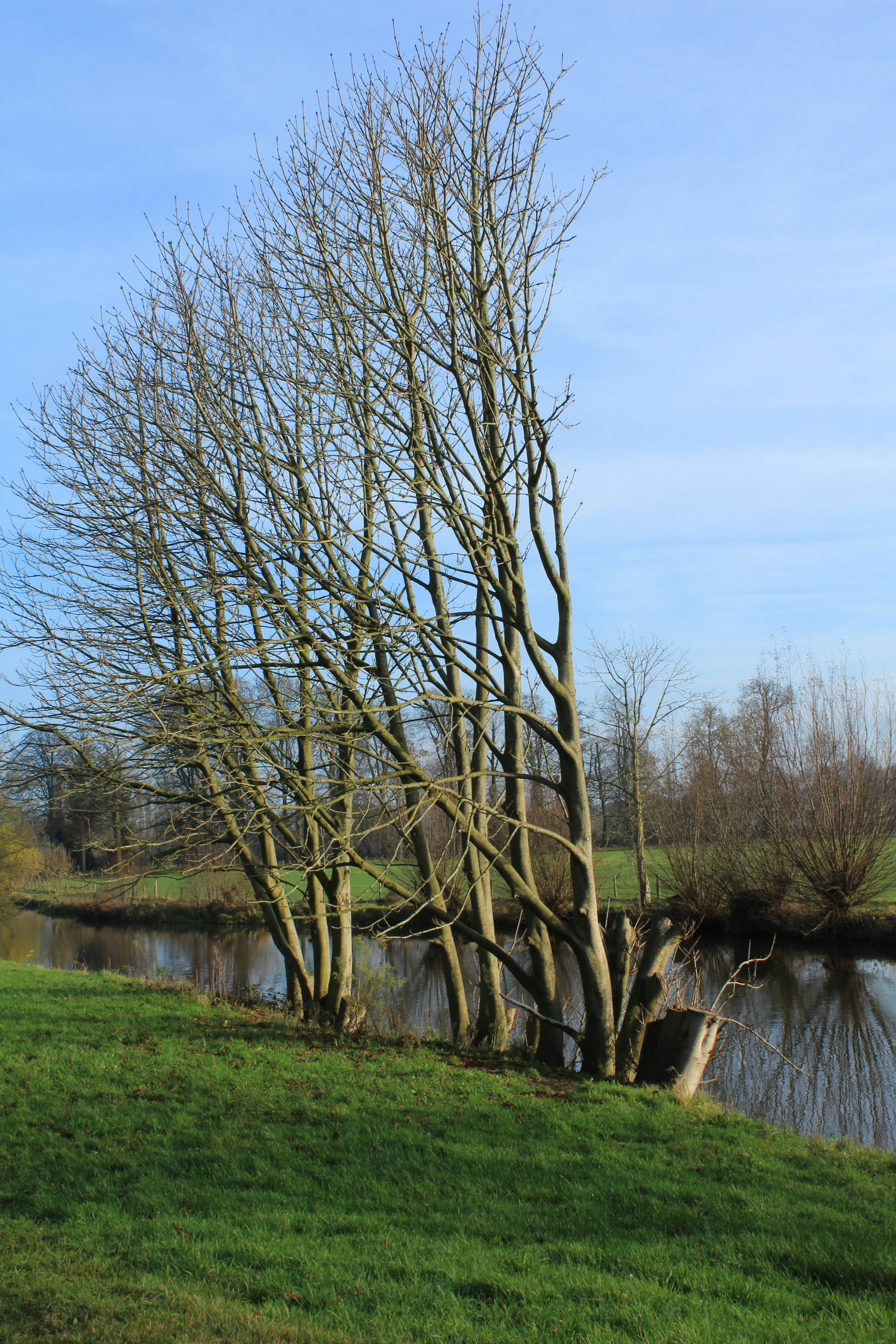 News: How Open Banking Score APIs Reshaped Underwriting in Q4 2025 — An Early 2026 Update