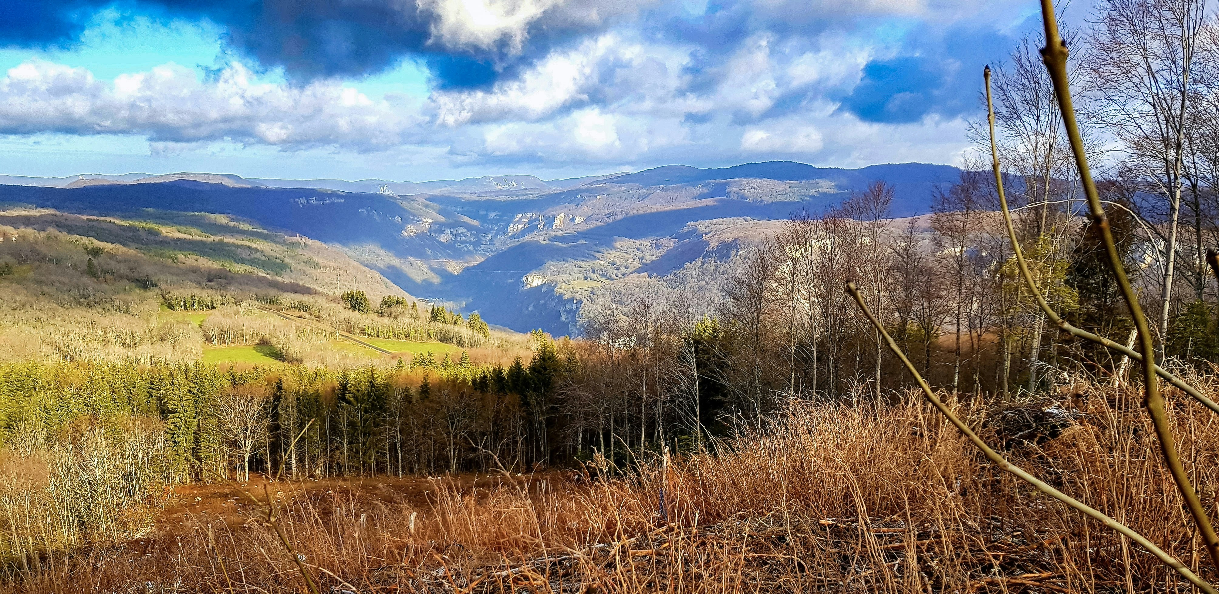 Photo by thierrycuzin