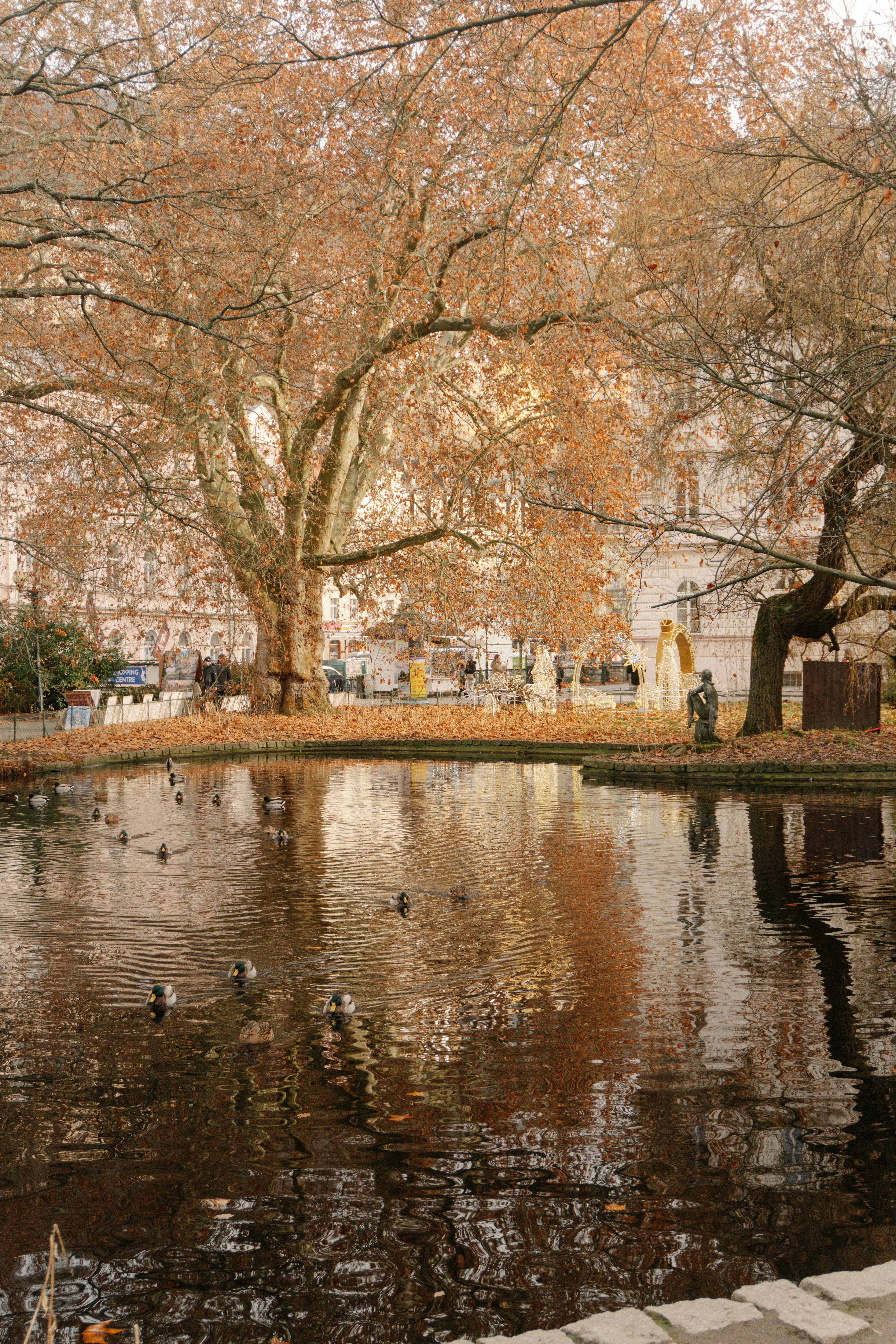 Photo by raymondpetrik