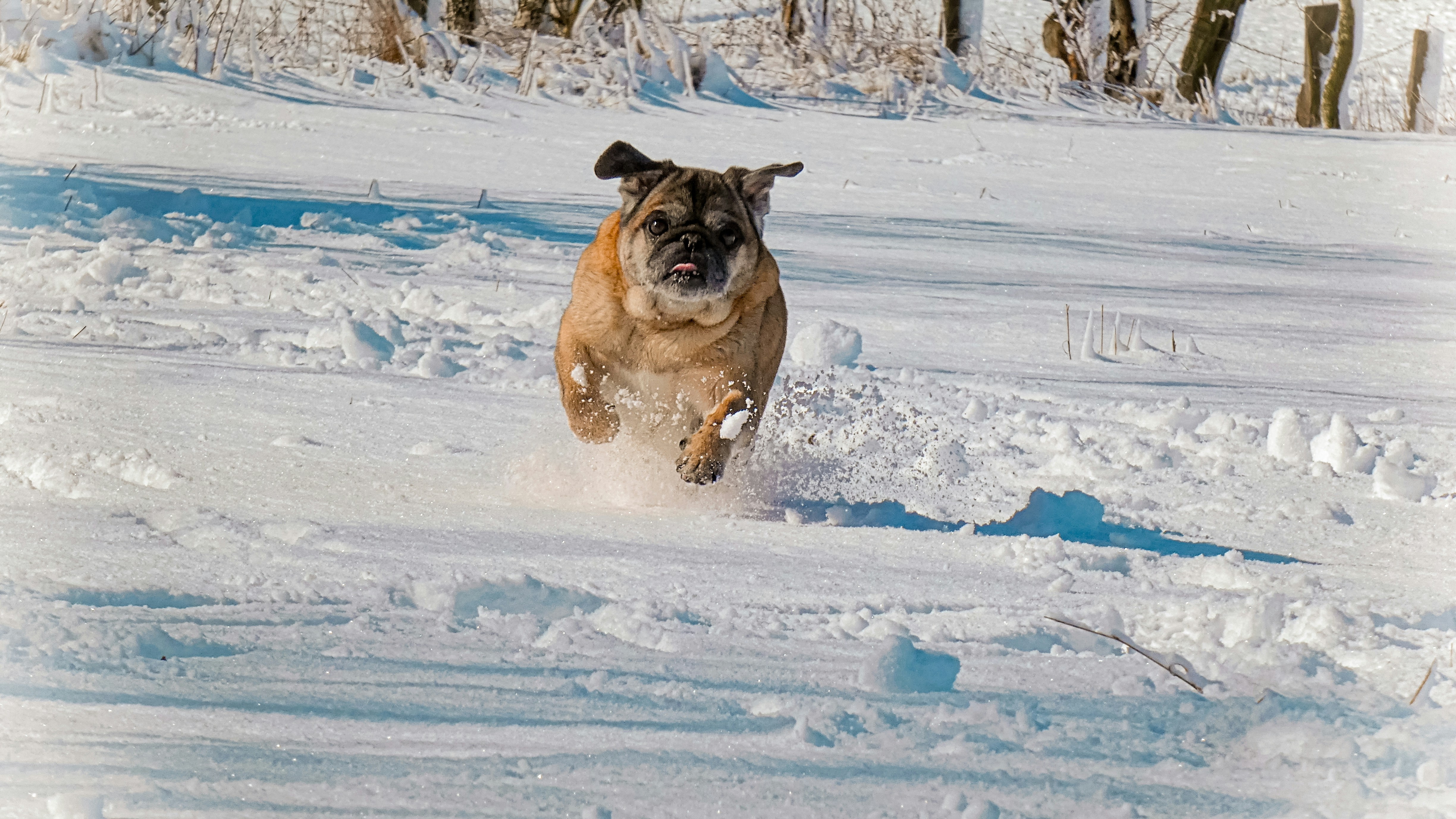 Photo by animagraphy