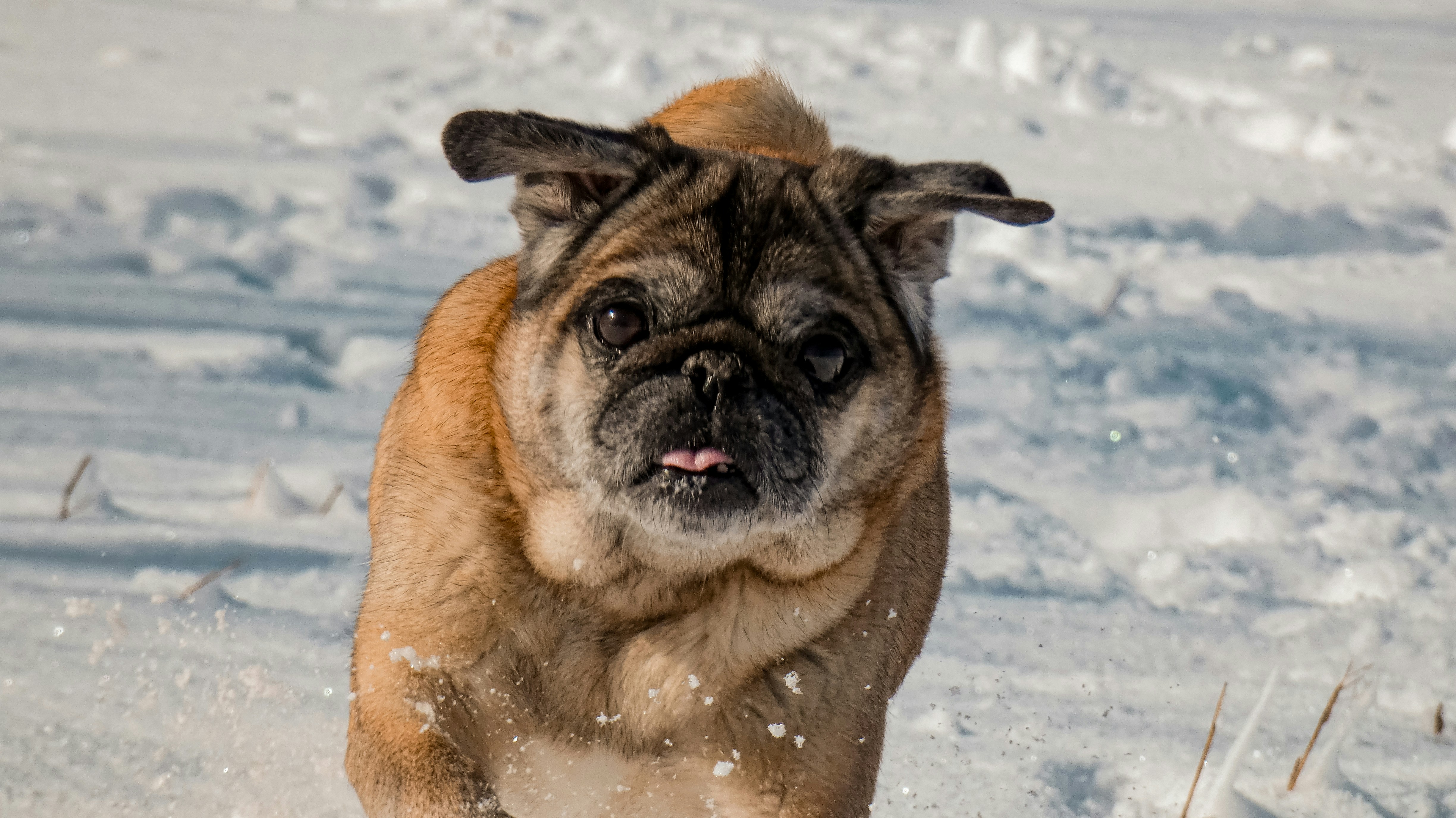 Photo by animagraphy