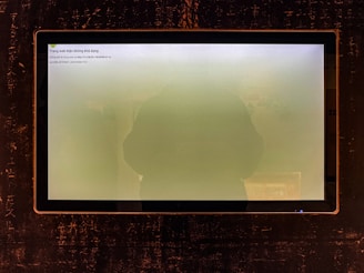 A computer screen shows a hazy green display.