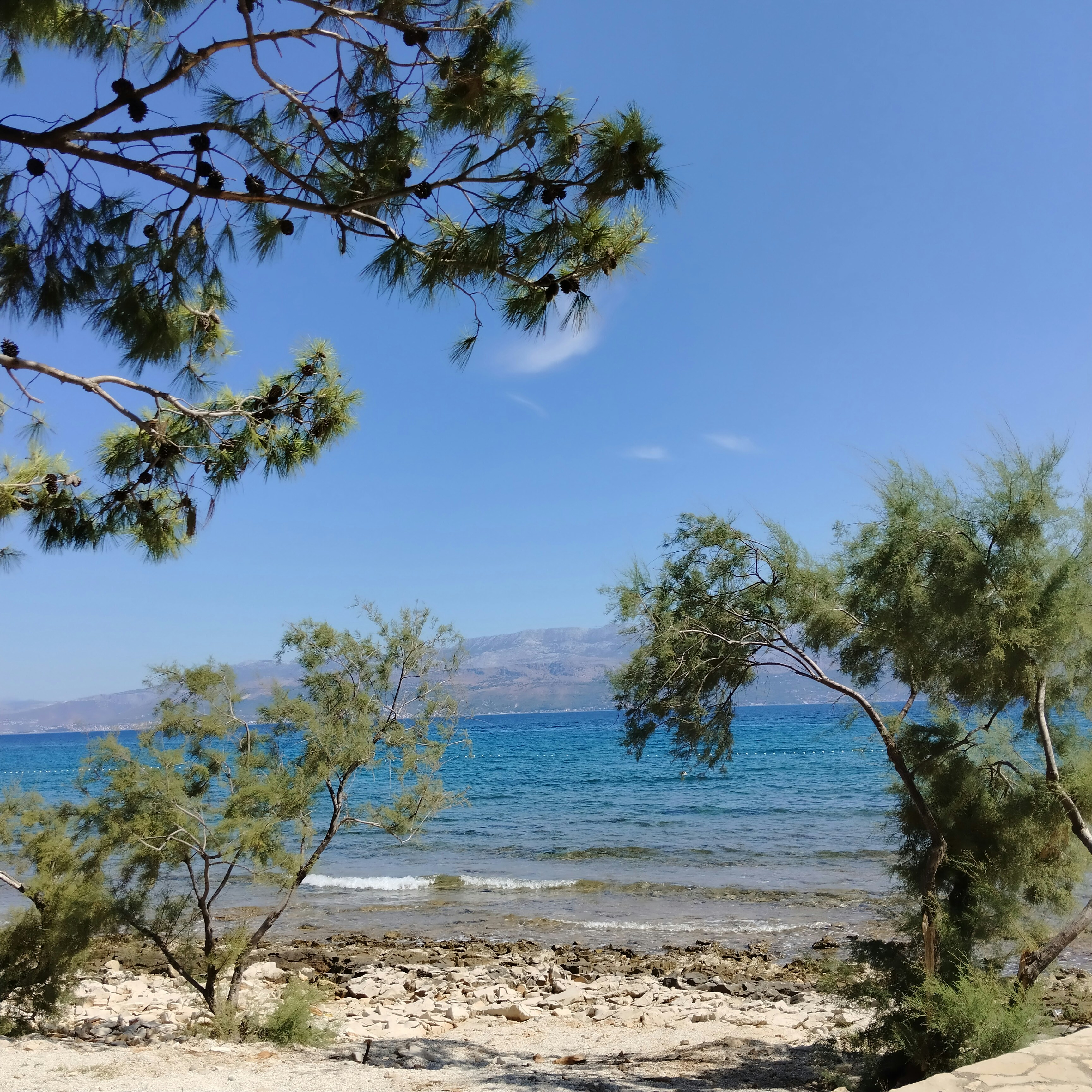 Photo by diamond0624