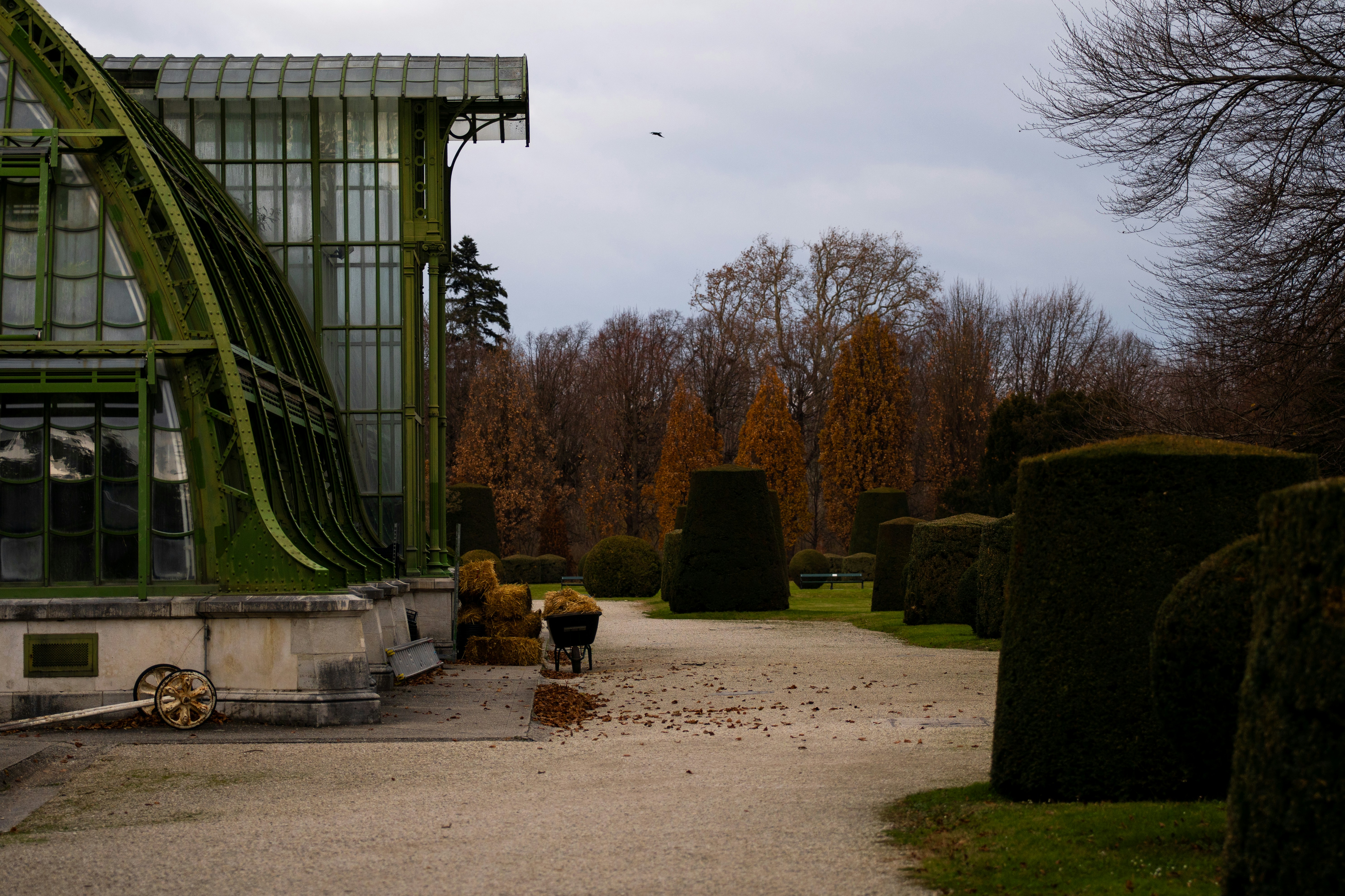 Gewächshausstruktur mit gepflegtem Garten und Bäumen