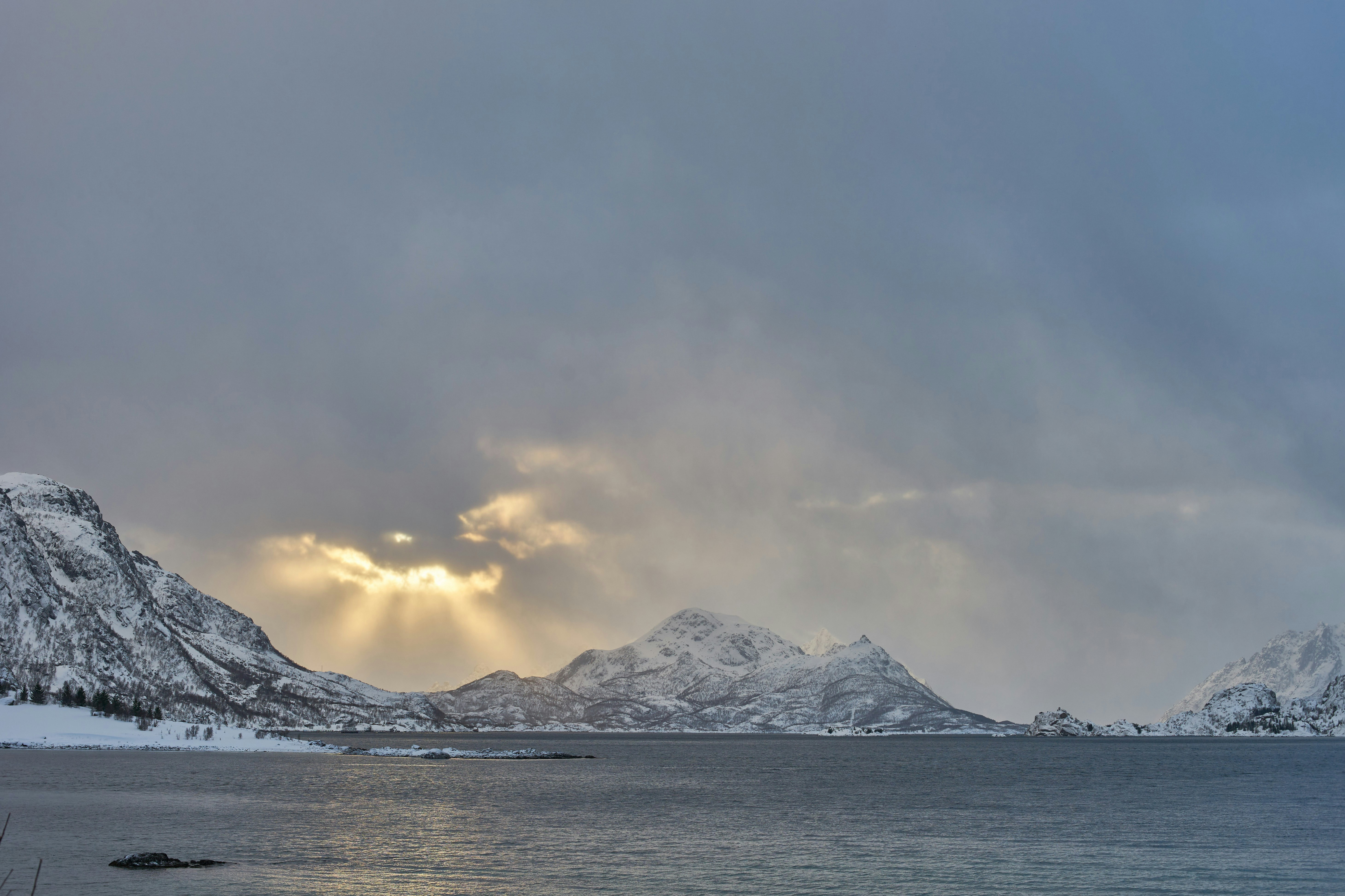 Photo by wolfgang_hasselmann