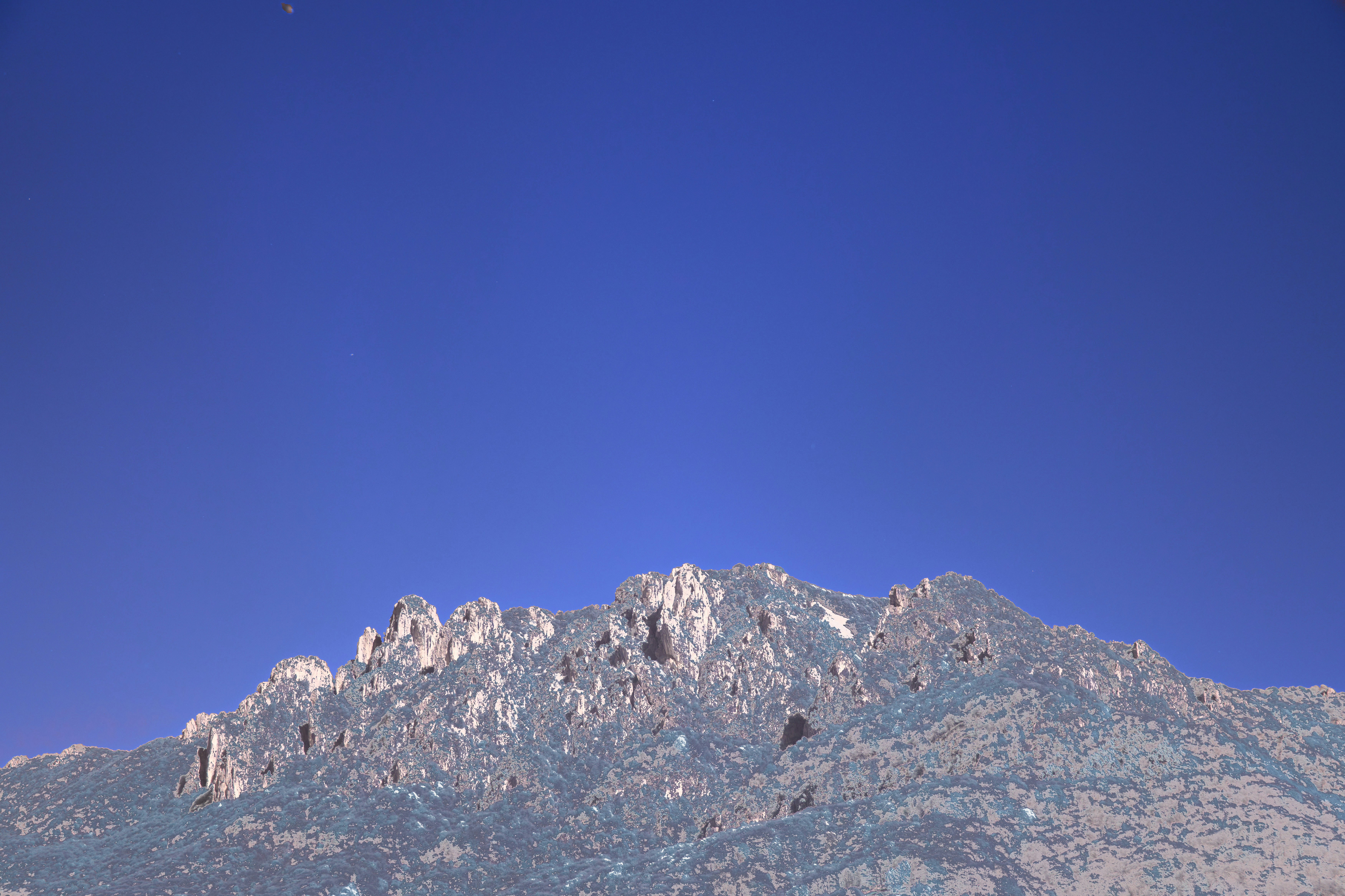 Photo by wolfgang_hasselmann