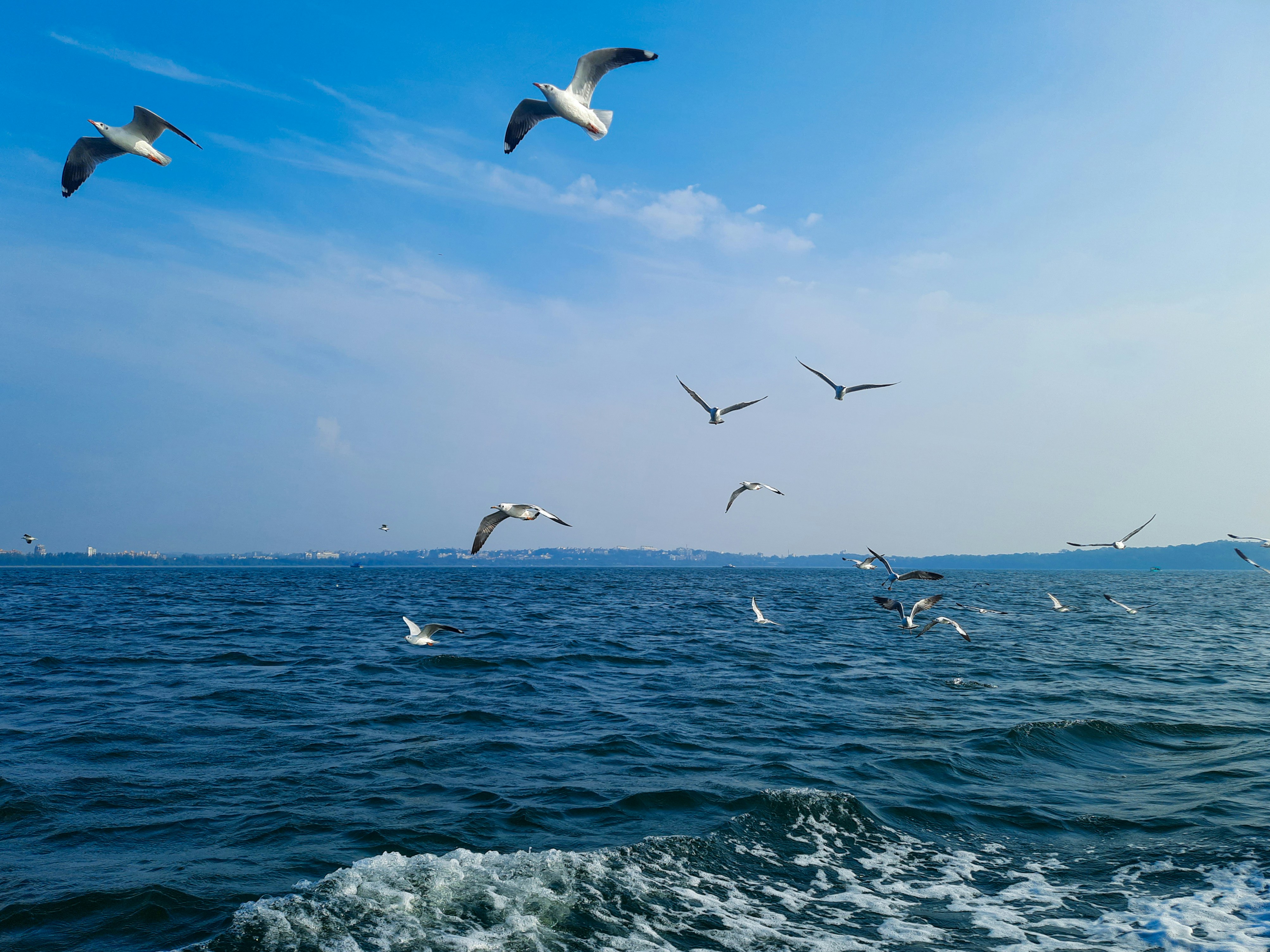 Photo by ashrafmohiuddin