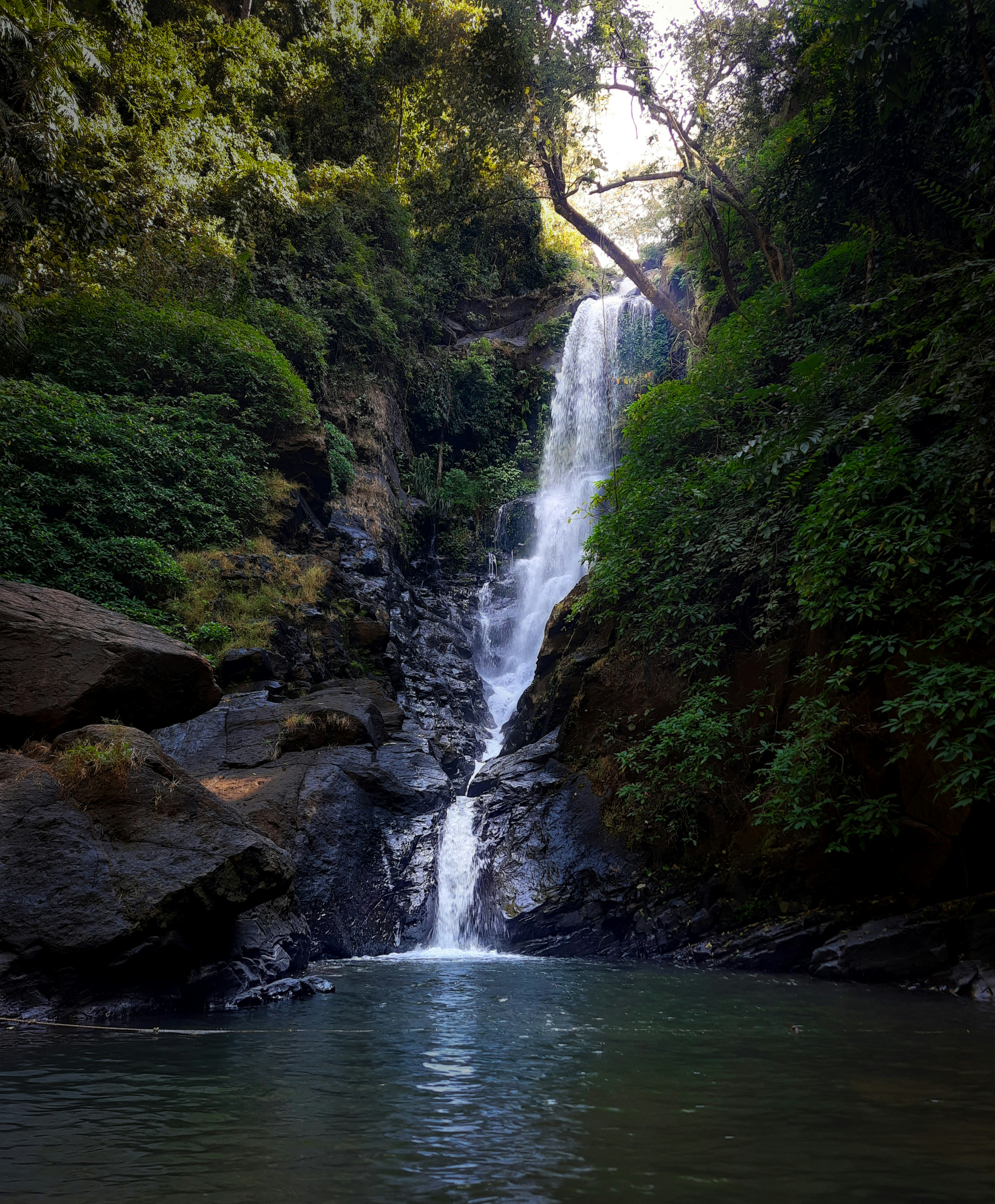 Photo by ashrafmohiuddin