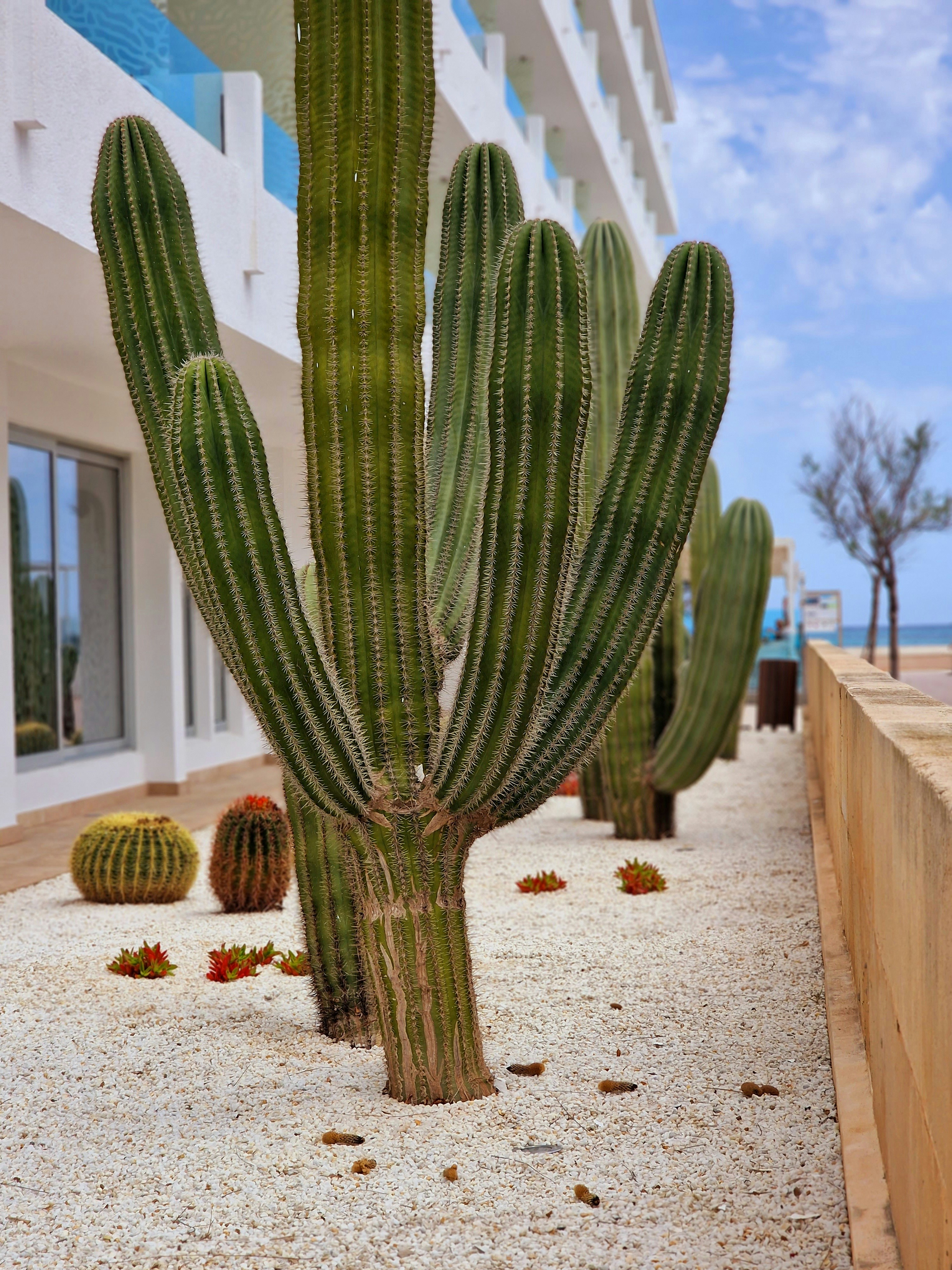 Photo by sunnytimestraveler