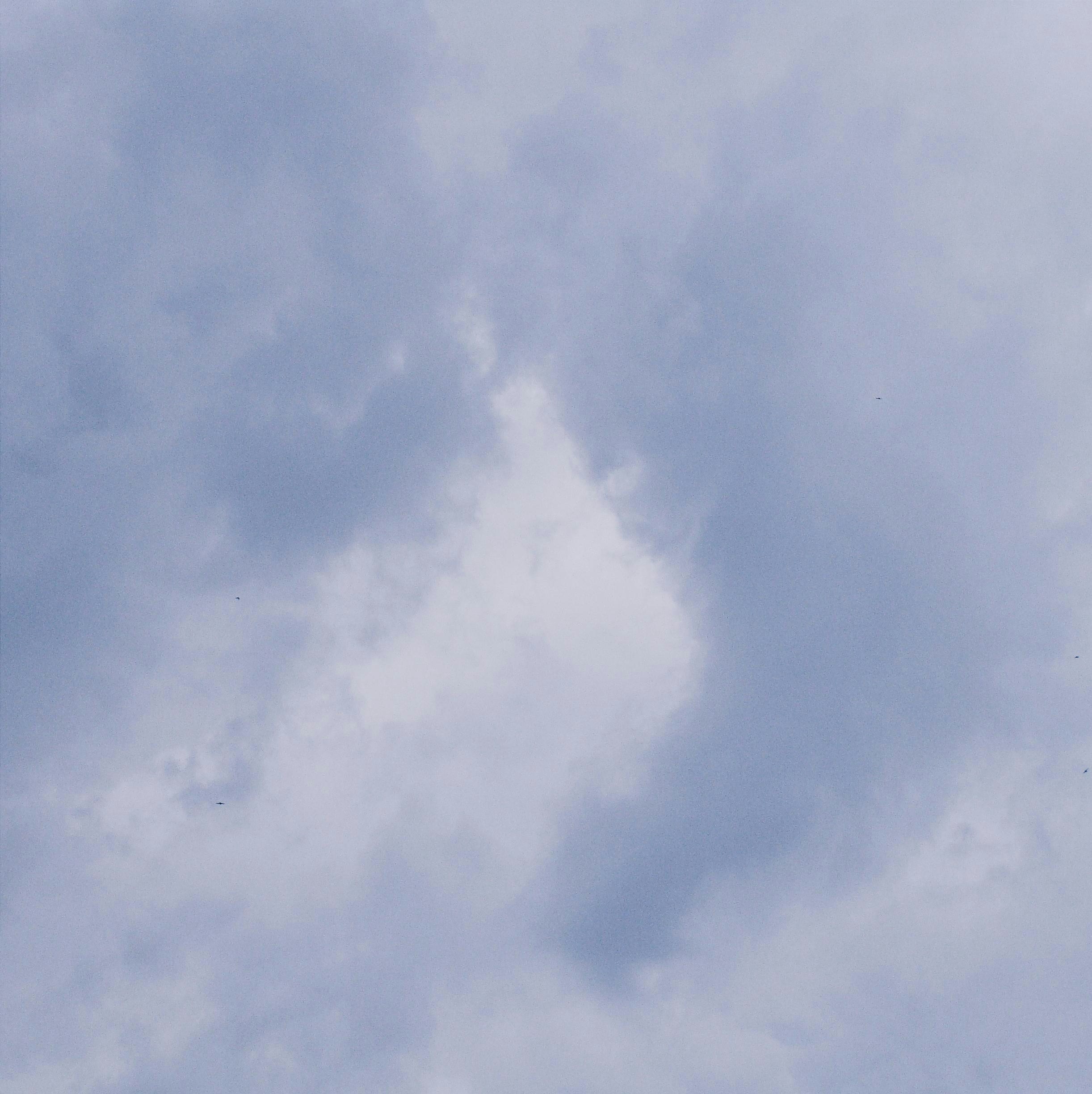 曇り空に柔らかな灰色と白の雲が広がっている。