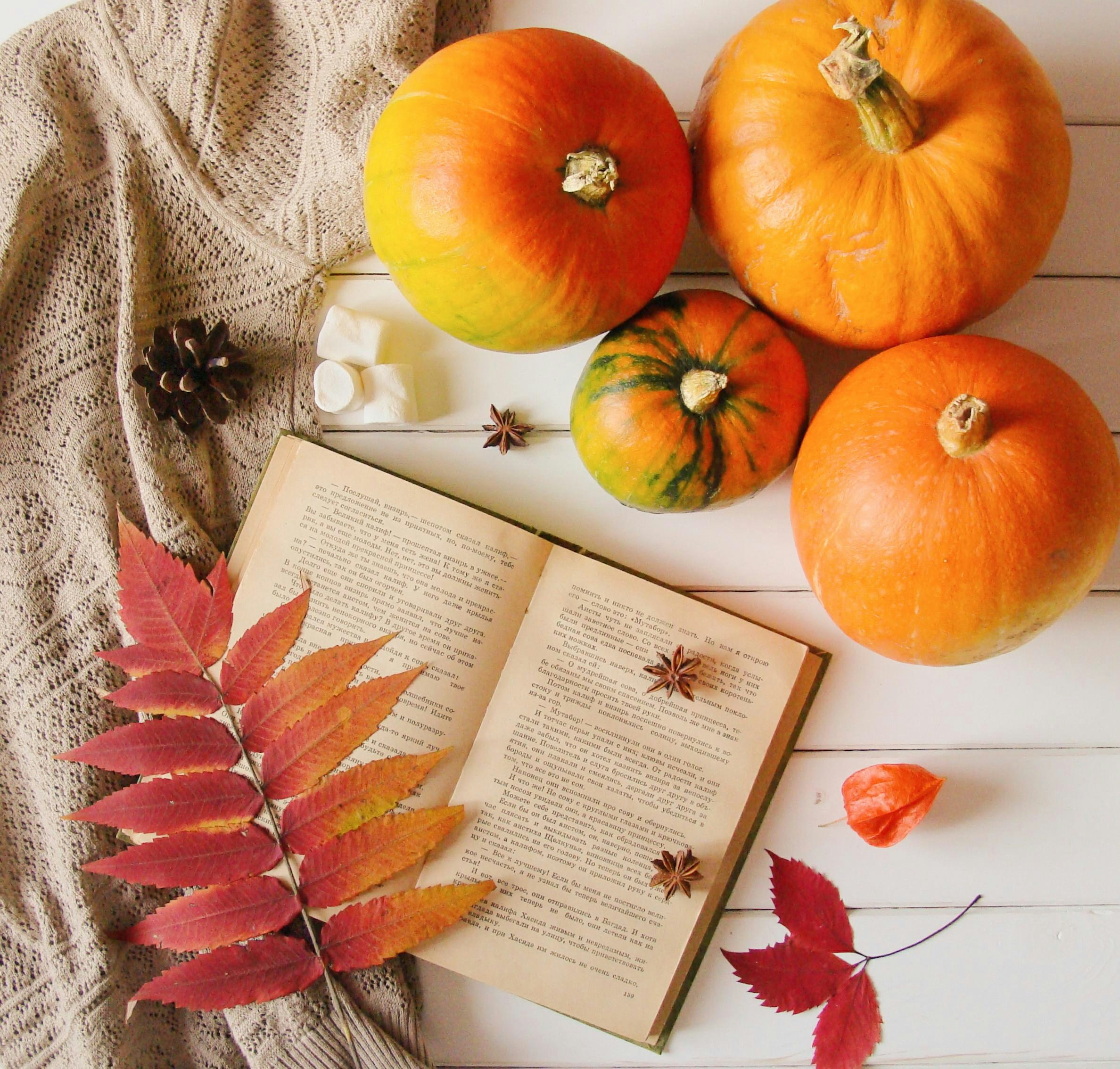 autumn harvest decor, wallpaper, Thanksgiving Crafts for Adults: Festive DIY Ideas 6